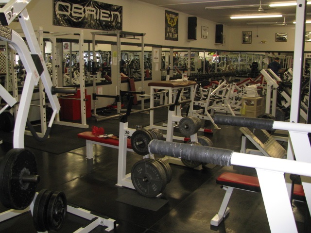 Picture 13