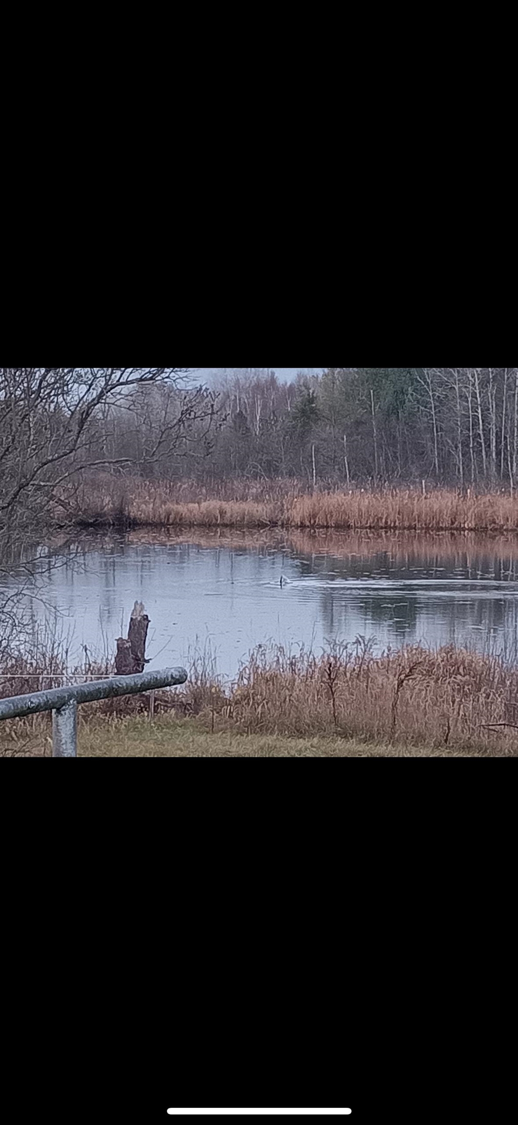 Homes for sale in Sylvan Township Osceola, MI | 4419 10 Mile Rd, Sylvan Township Osceola, MI 49631 | MLS# 78080063385