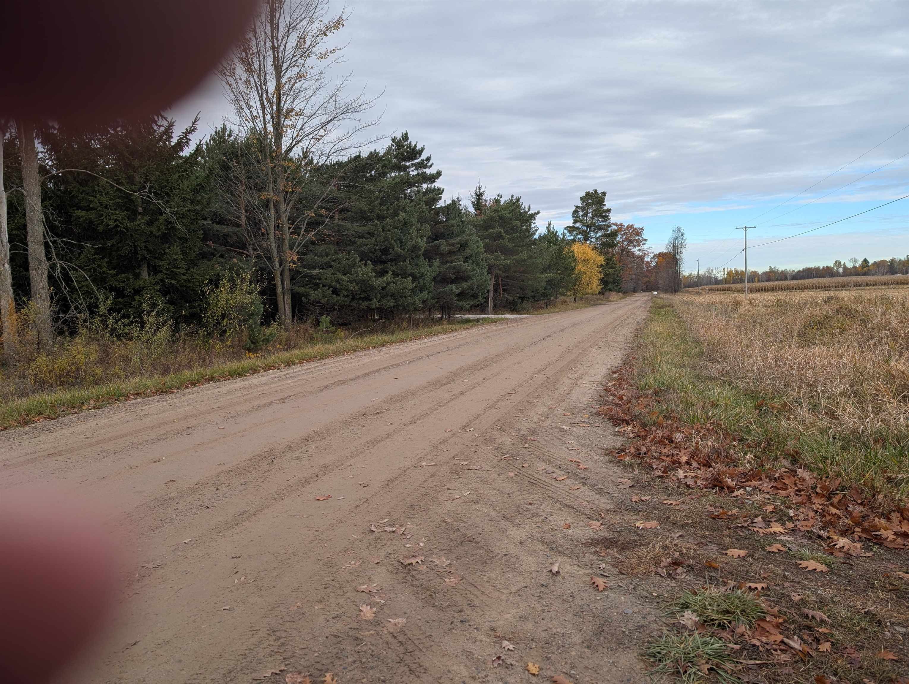 Mann Road, Port Sanilac, MI, 48469