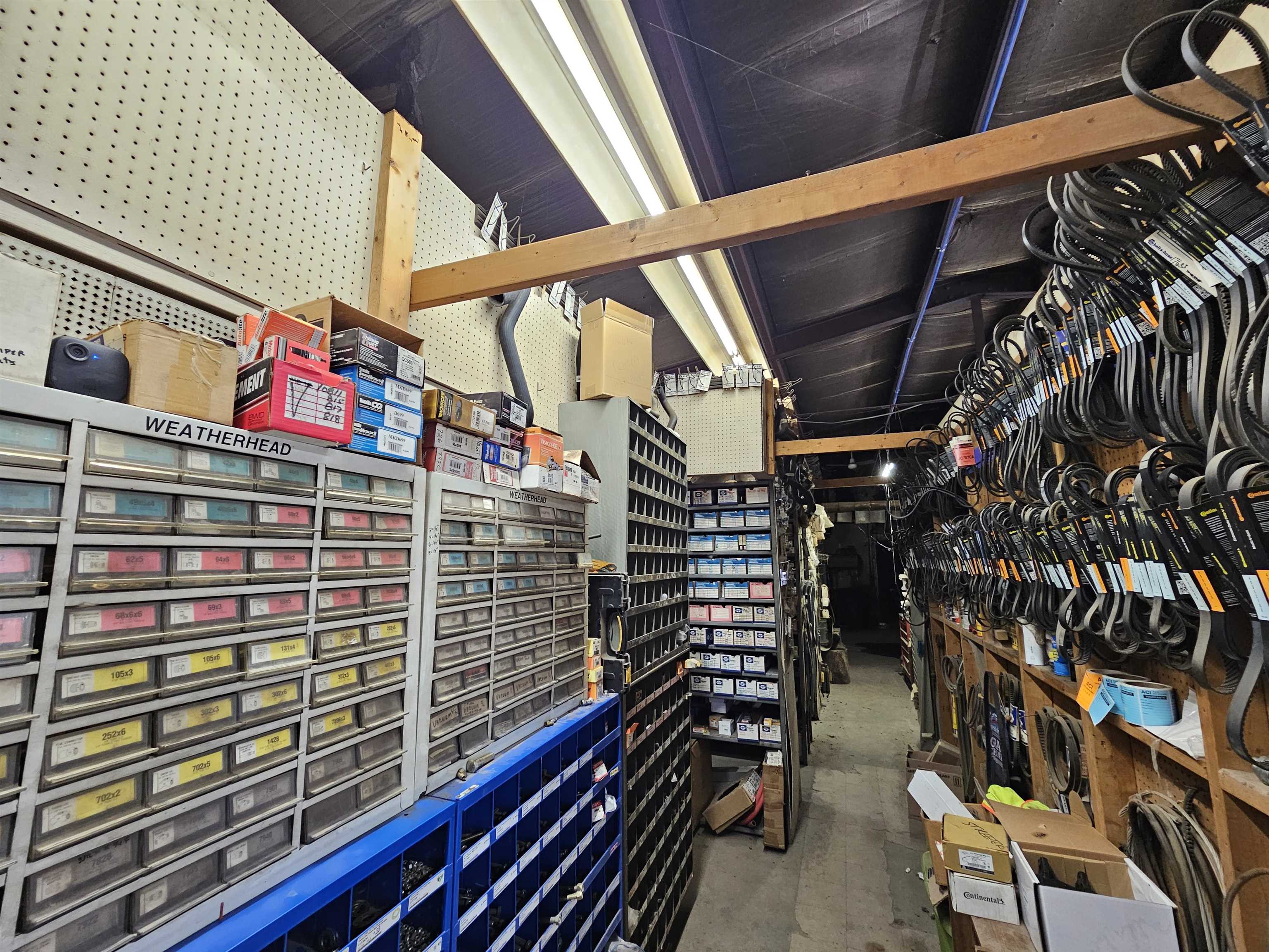 Picture 5