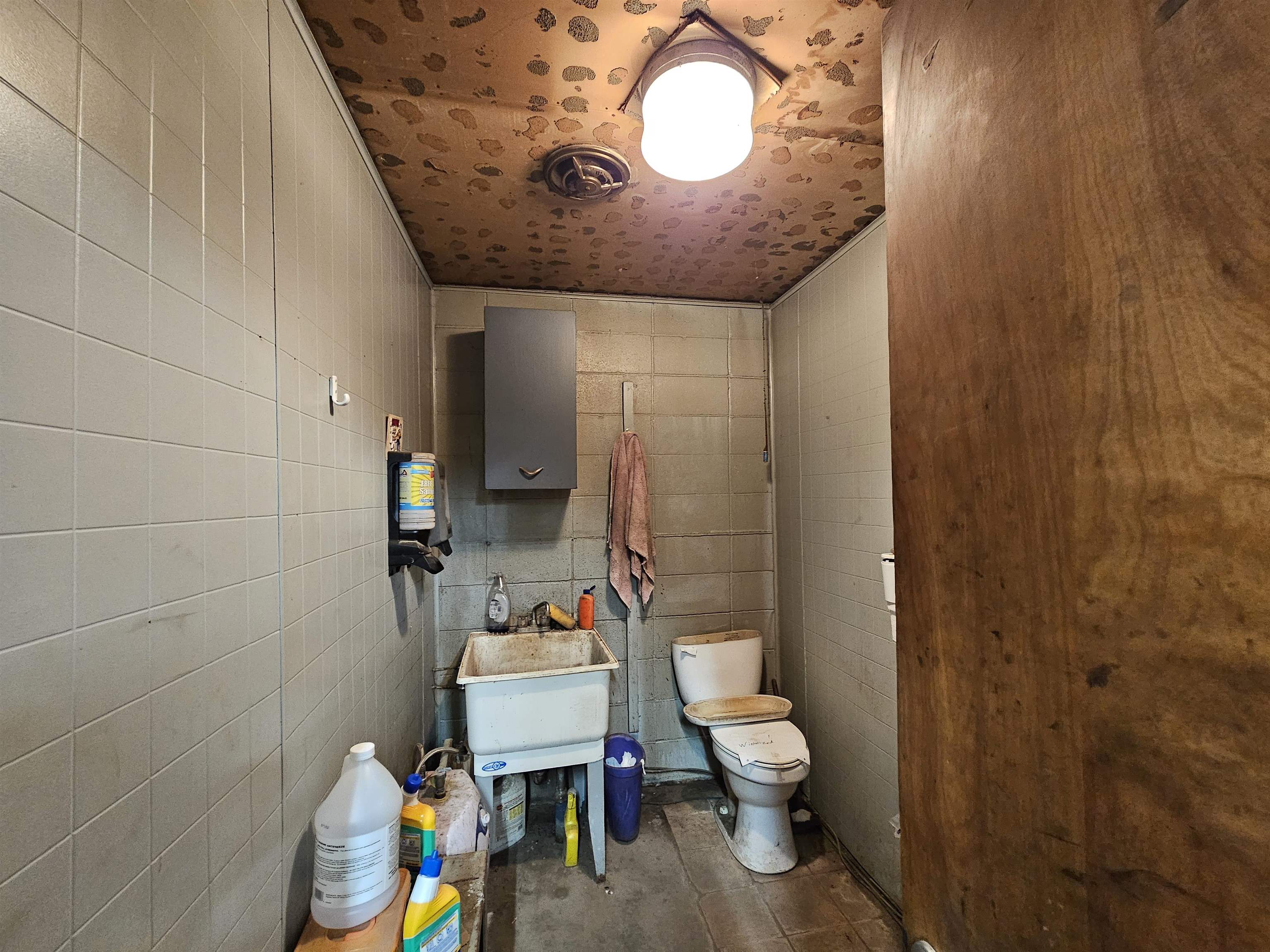 Picture 6
