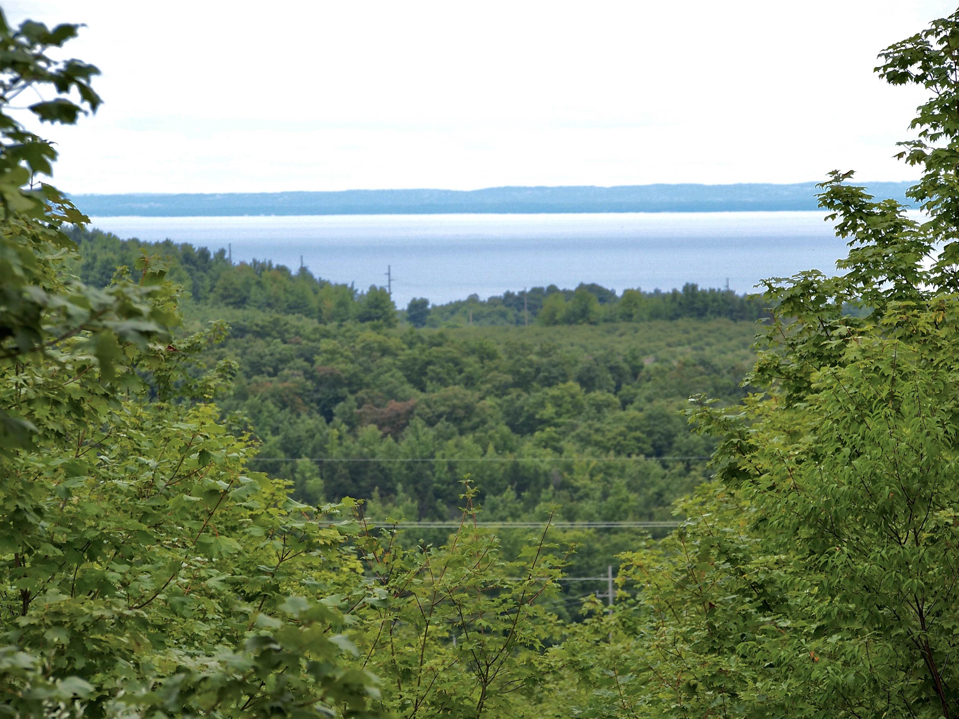 Picture 40