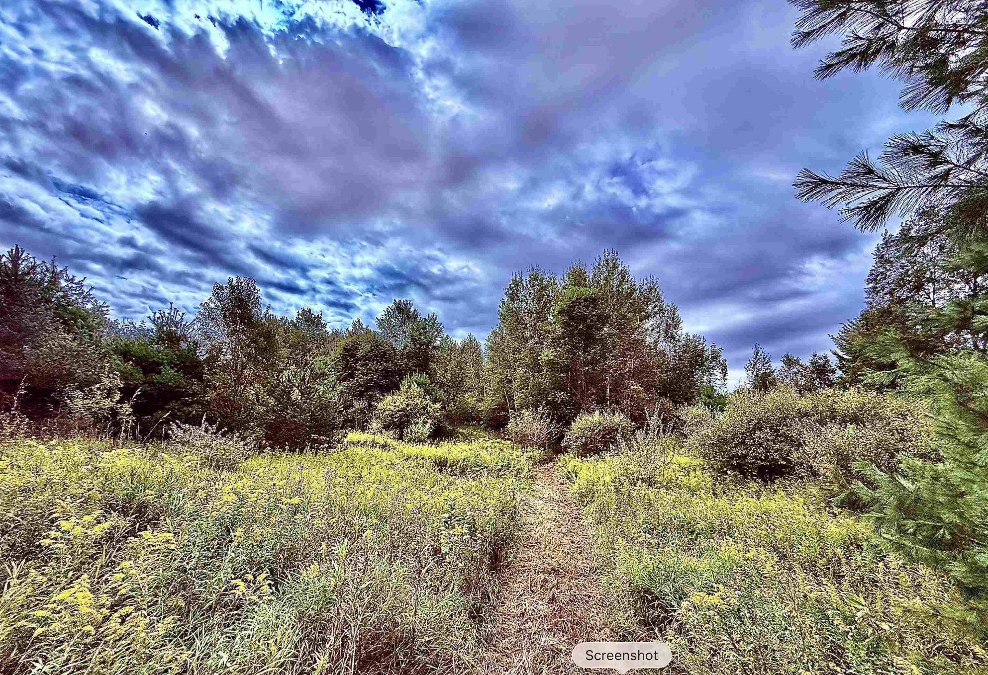 Homes for sale in Mayfield Township Grand Traverse, MI | Parcel C M 113, Mayfield Township Grand Traverse, MI 49649 | MLS# 78080064189