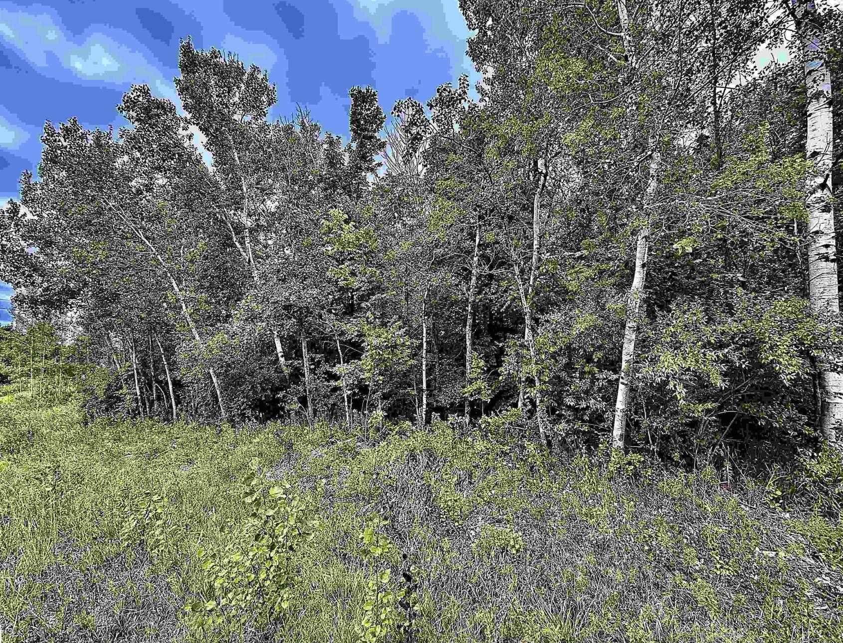 Homes for sale in Mayfield Township Grand Traverse, MI | Parcel C M 113, Mayfield Township Grand Traverse, MI 49649 | MLS# 78080064189