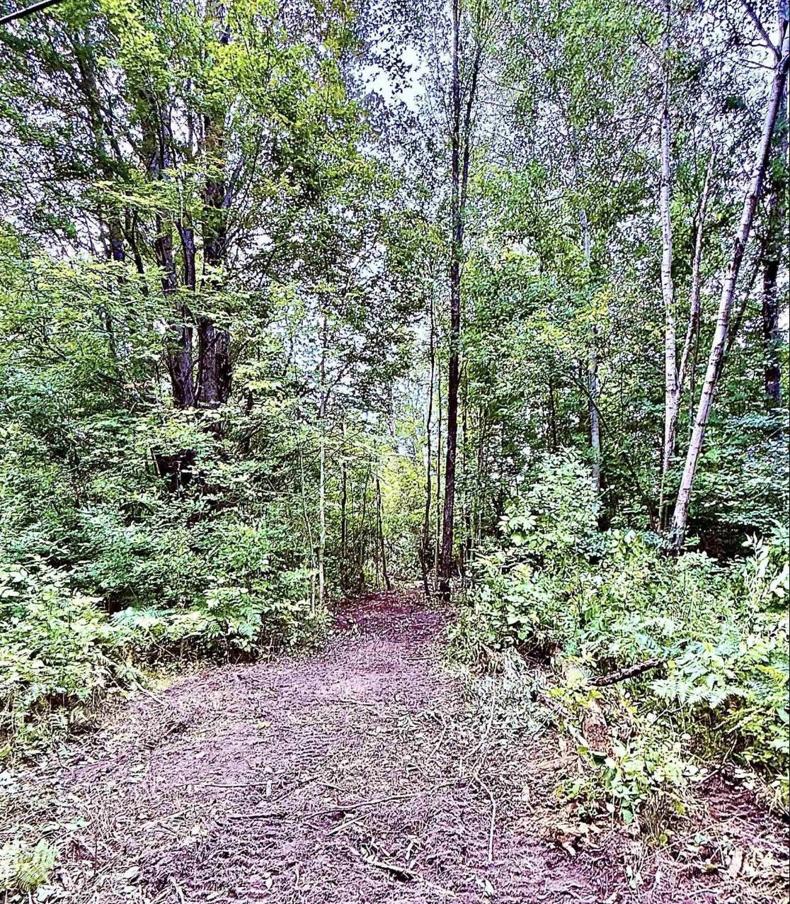 Homes for sale in Mayfield Township Grand Traverse, MI | Parcel C M-113, Mayfield Township Grand Traverse, MI 49649 | MLS# 78080064189