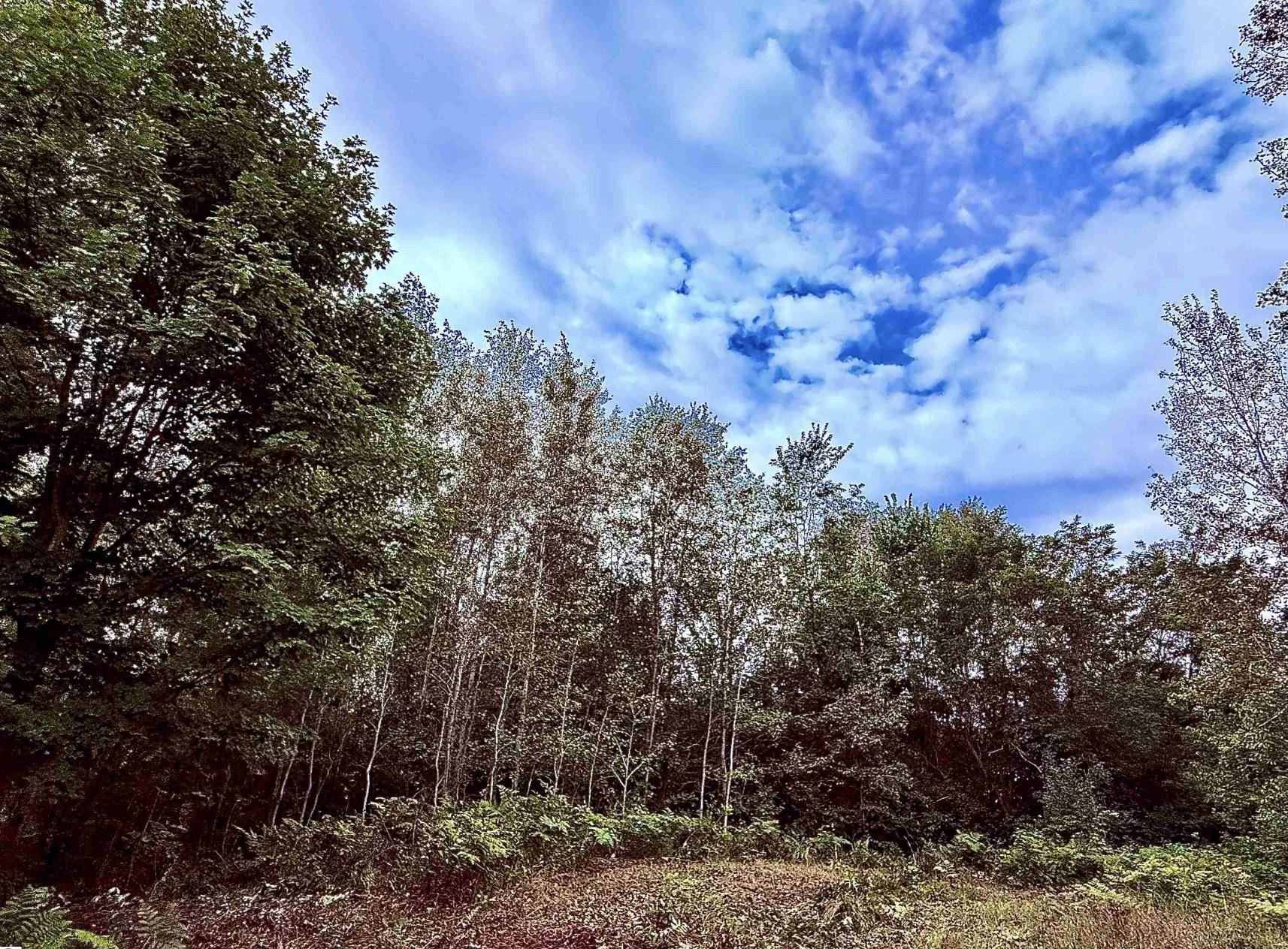 Homes for sale in Mayfield Township Grand Traverse, MI | Parcel C M-113, Mayfield Township Grand Traverse, MI 49649 | MLS# 78080064189