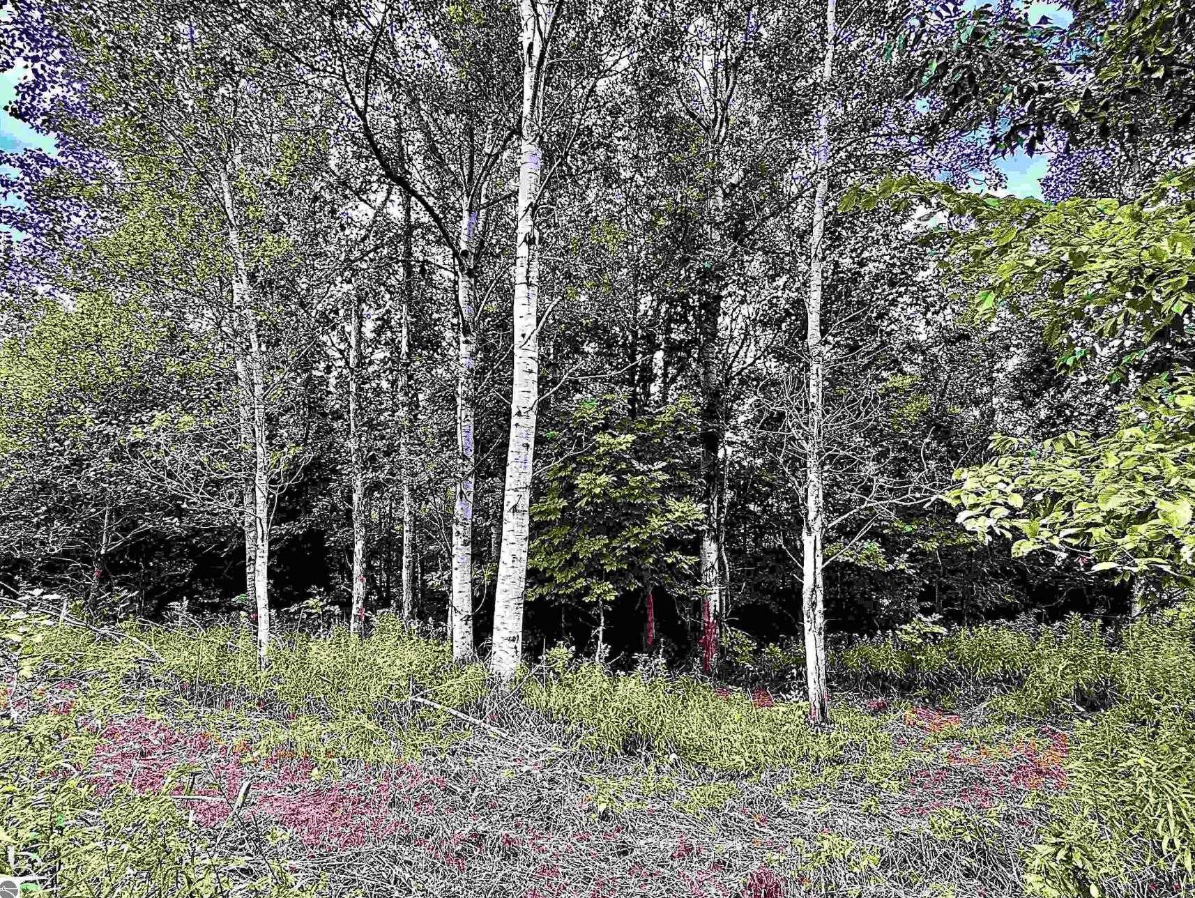 Homes for sale in Mayfield Township Grand Traverse, MI | Parcel C M-113, Mayfield Township Grand Traverse, MI 49649 | MLS# 78080064189