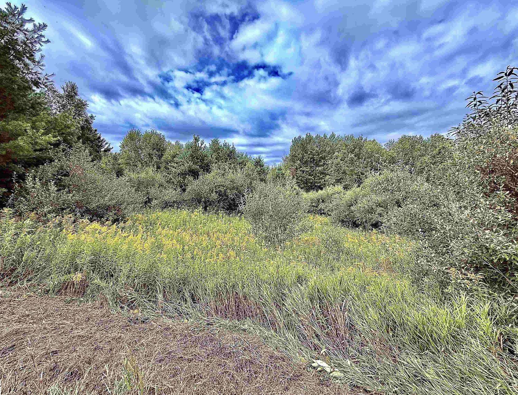 Homes for sale in Mayfield Township Grand Traverse, MI | Parcel C M 113, Mayfield Township Grand Traverse, MI 49649 | MLS# 78080064189