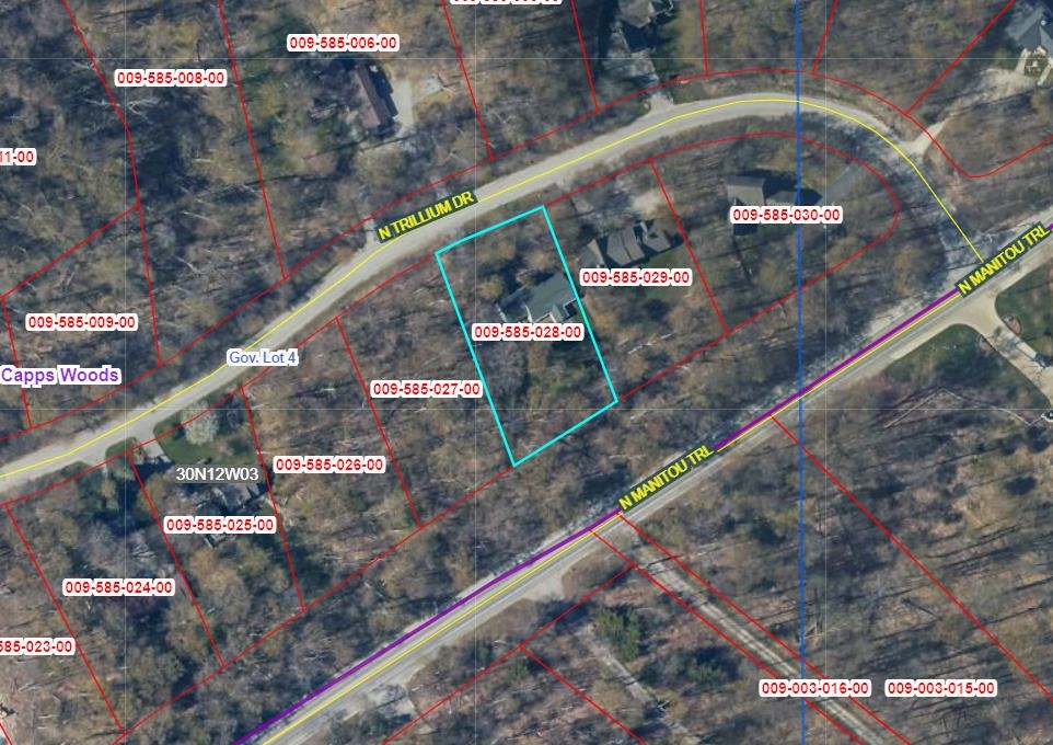 Homes for sale in Leland Township Leelanau, MI | 3900 N Trillium Dr, Leland Township Leelanau, MI 49654 | MLS# 78080064339