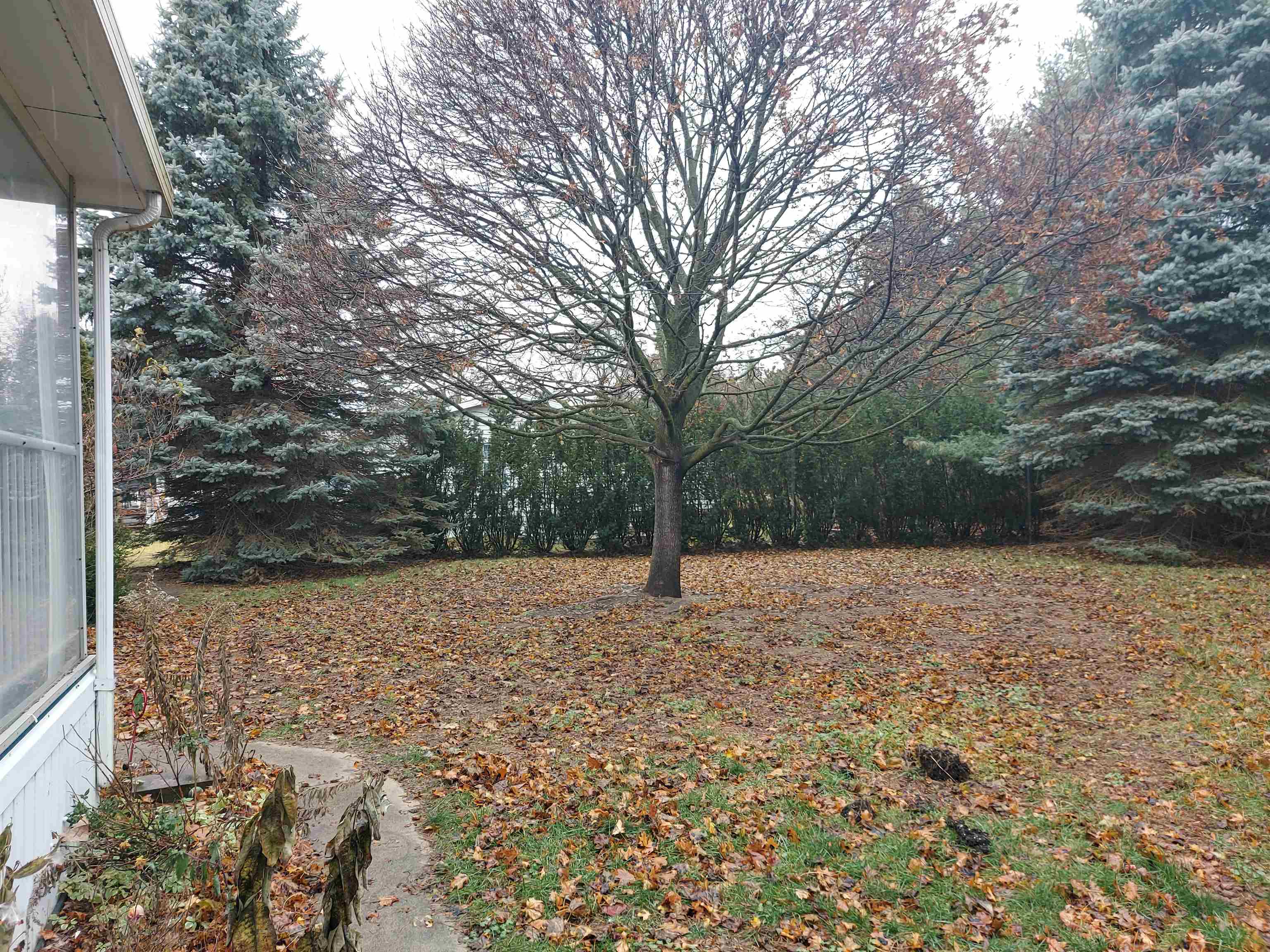 Homes for sale in Garfield Charter Township Grand Traverse, MI | 1478 David Pl, Garfield Charter Township Grand Traverse, MI 49686 | MLS# 78080064374