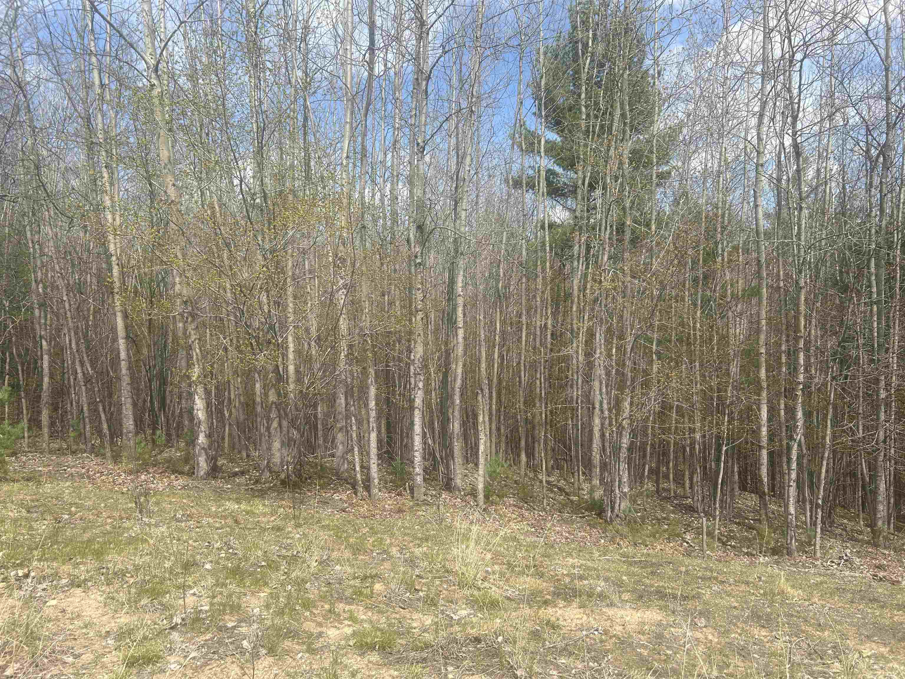 Homes for sale in Whitewater Township Grand Traverse, MI | 5479 Glendenning Trl, Whitewater Township Grand Traverse, MI 49690 | MLS# 78080064375