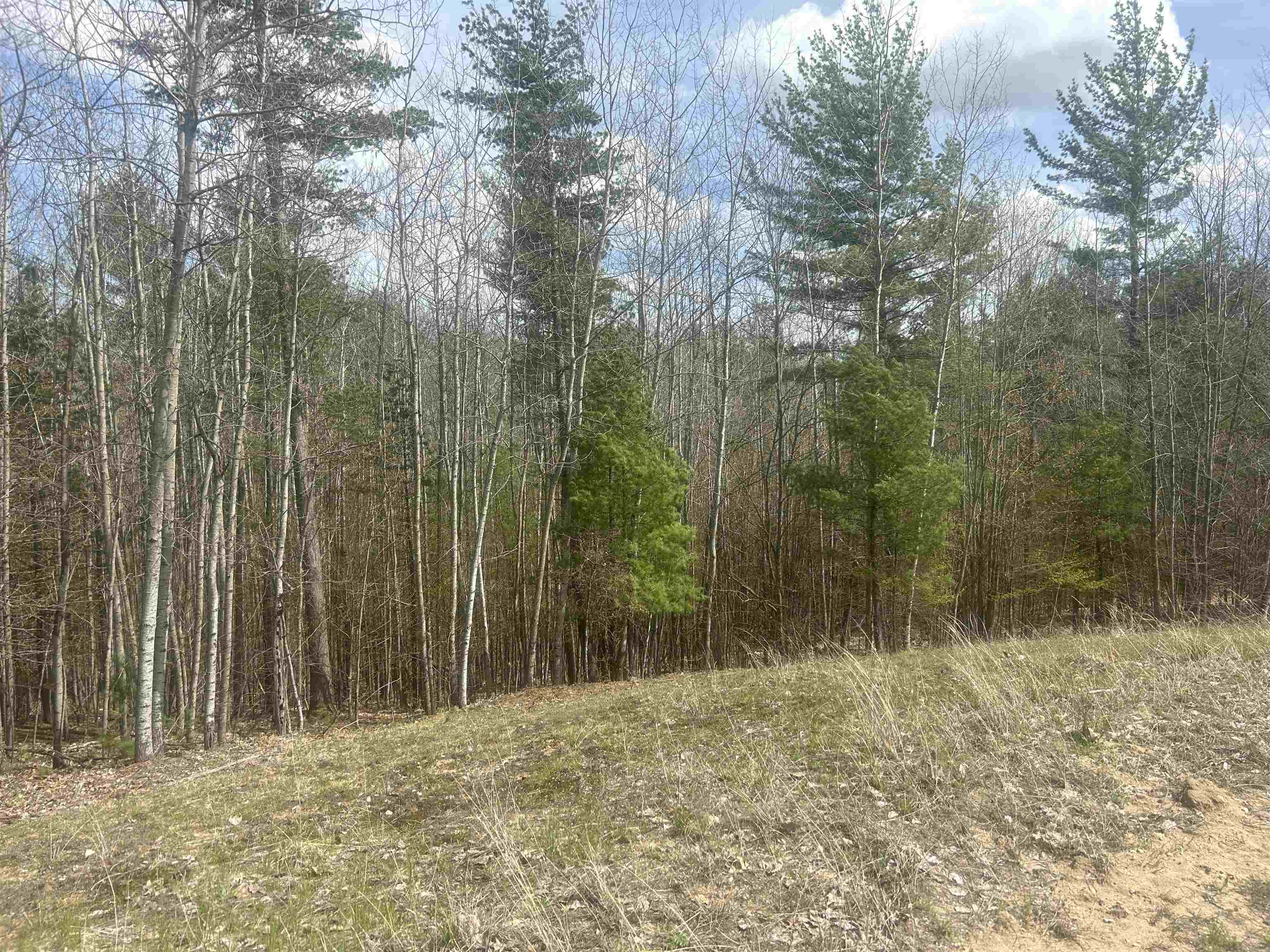 Homes for sale in Whitewater Township Grand Traverse, MI | 5479 Glendenning Trl, Whitewater Township Grand Traverse, MI 49690 | MLS# 78080064375