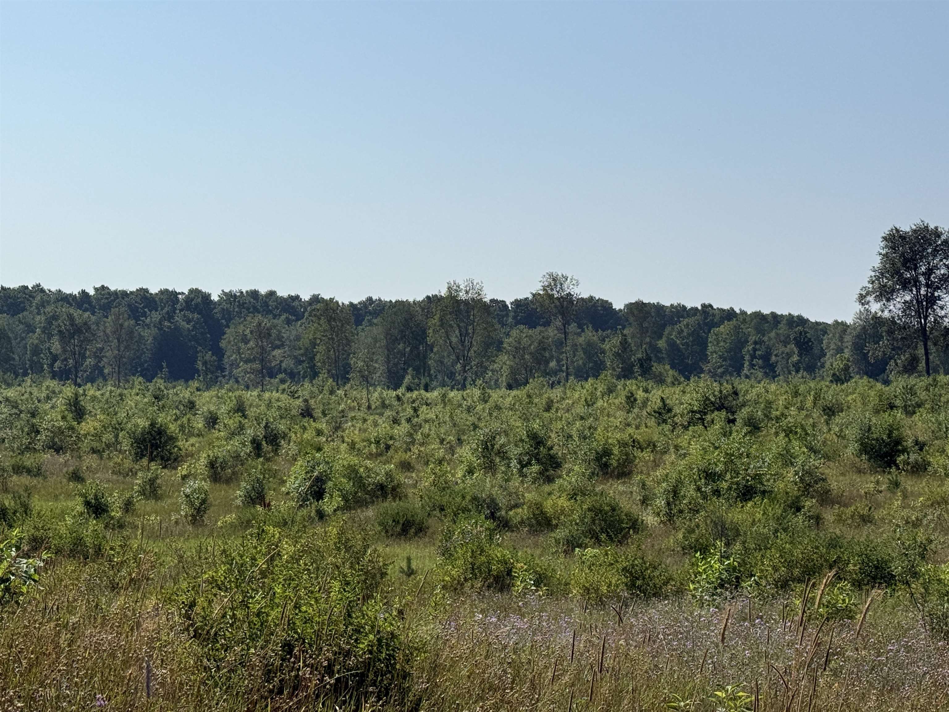 Homes for sale in Maple City, MI | Parcel A1 E Kasson Rd, Maple City, MI 49664 | MLS# 80064725