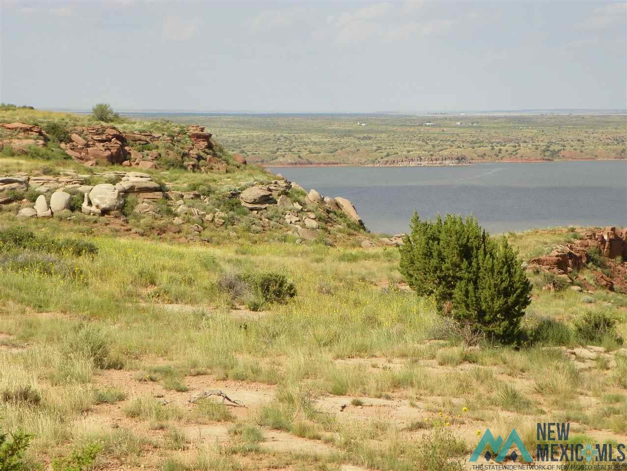 Land for sale in Tucumcari, New Mexico, 20214210