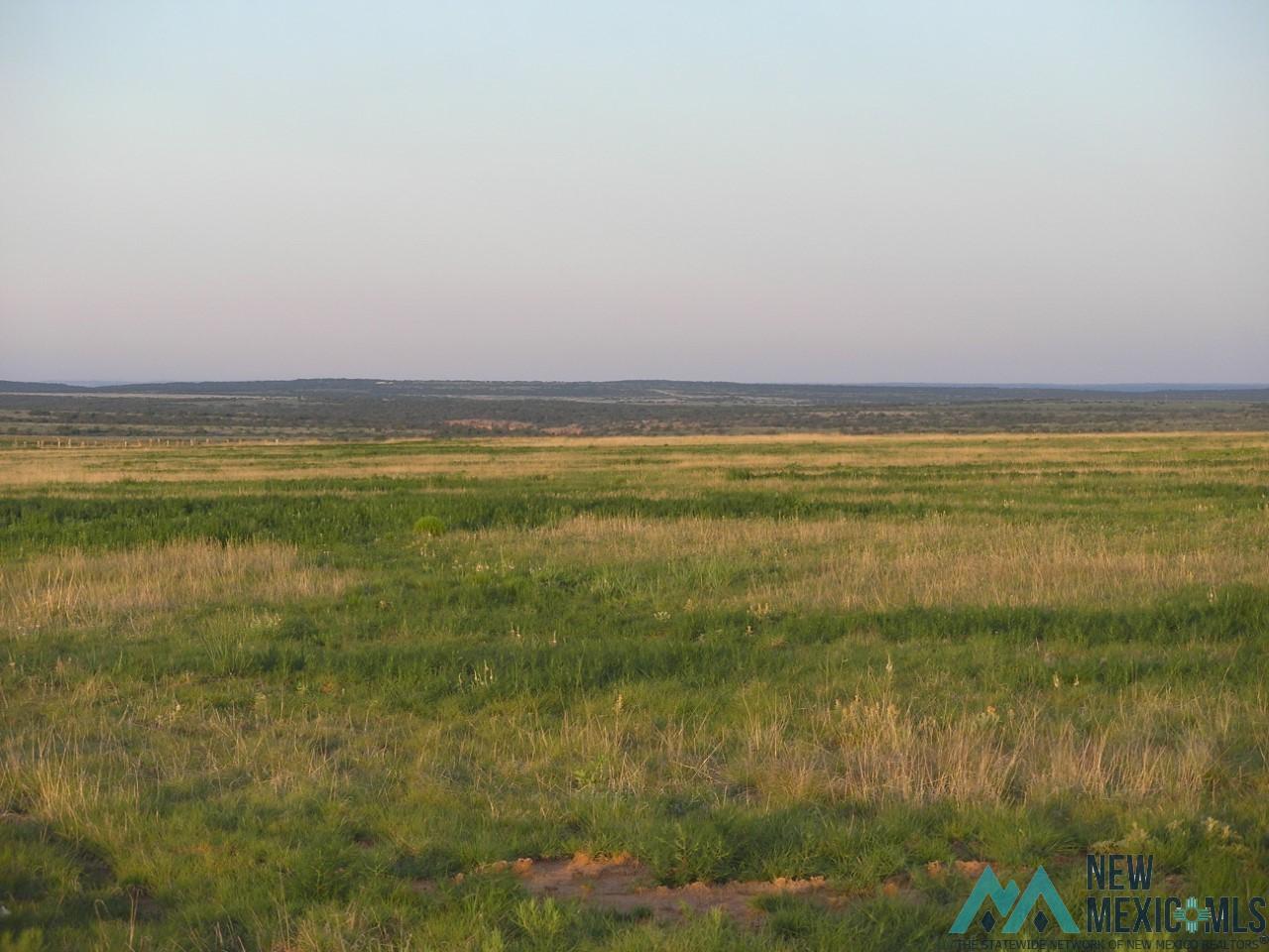 300+/-ac Tract 3 38 miles north of Roy, NM Roy, NM Photo