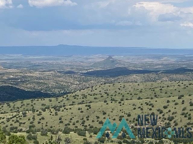 123 Ridge View Magdalena, NM Photo