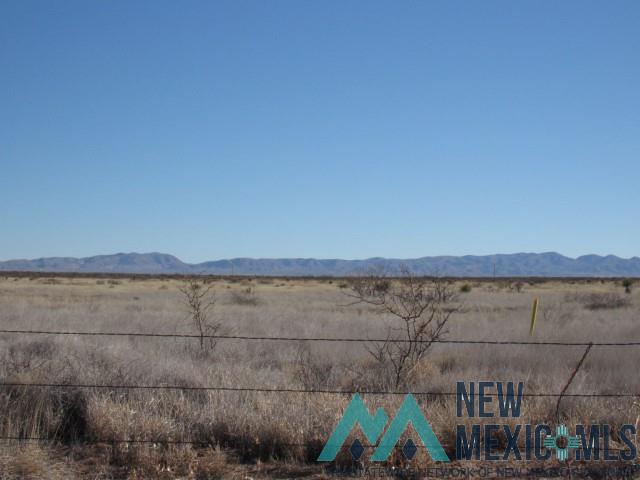 40 Acres in PA Grant #33 Engle, NM Photo