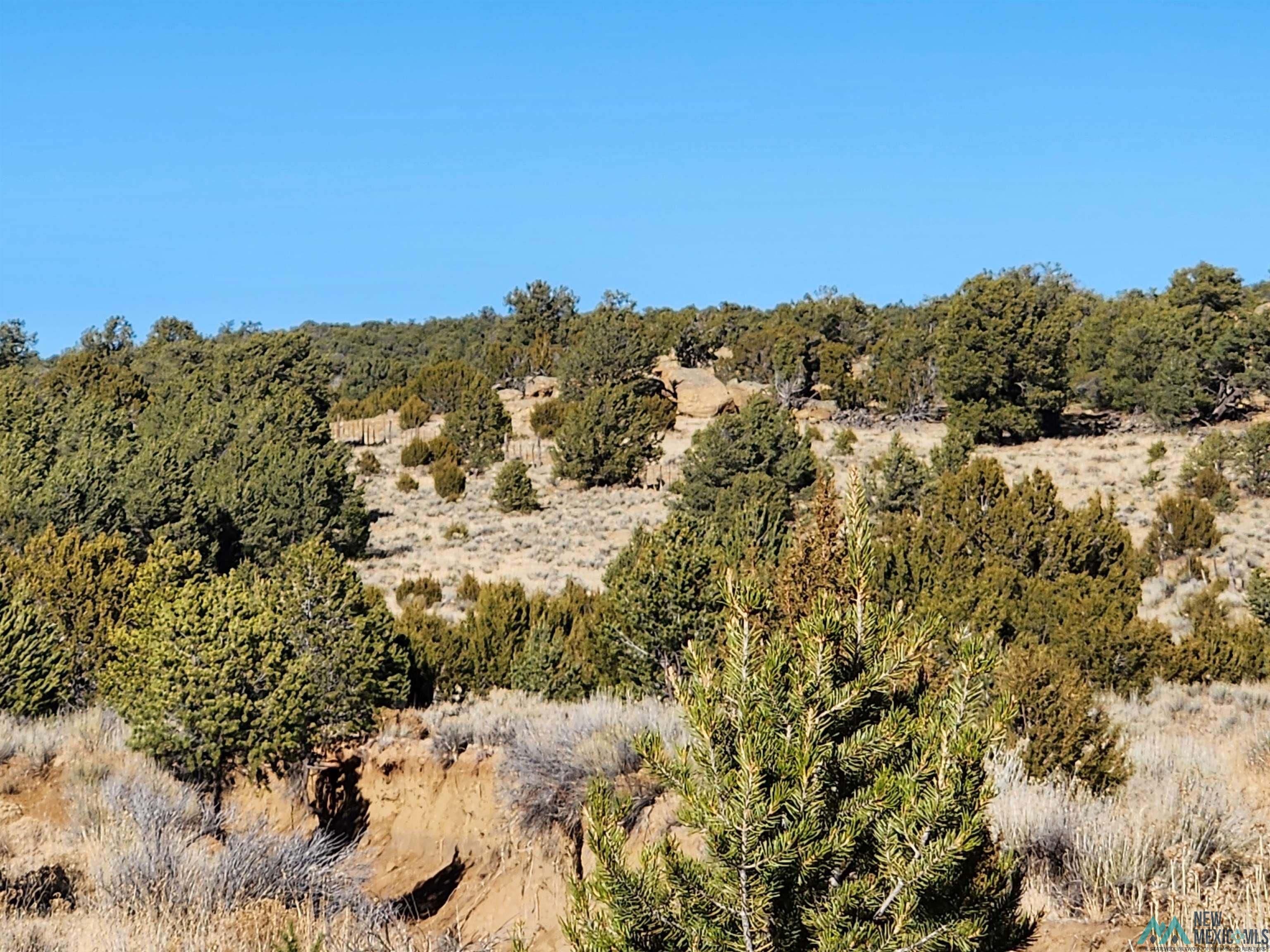  Ponderosa Ranches Trail PIE TOWN, NM Photo
