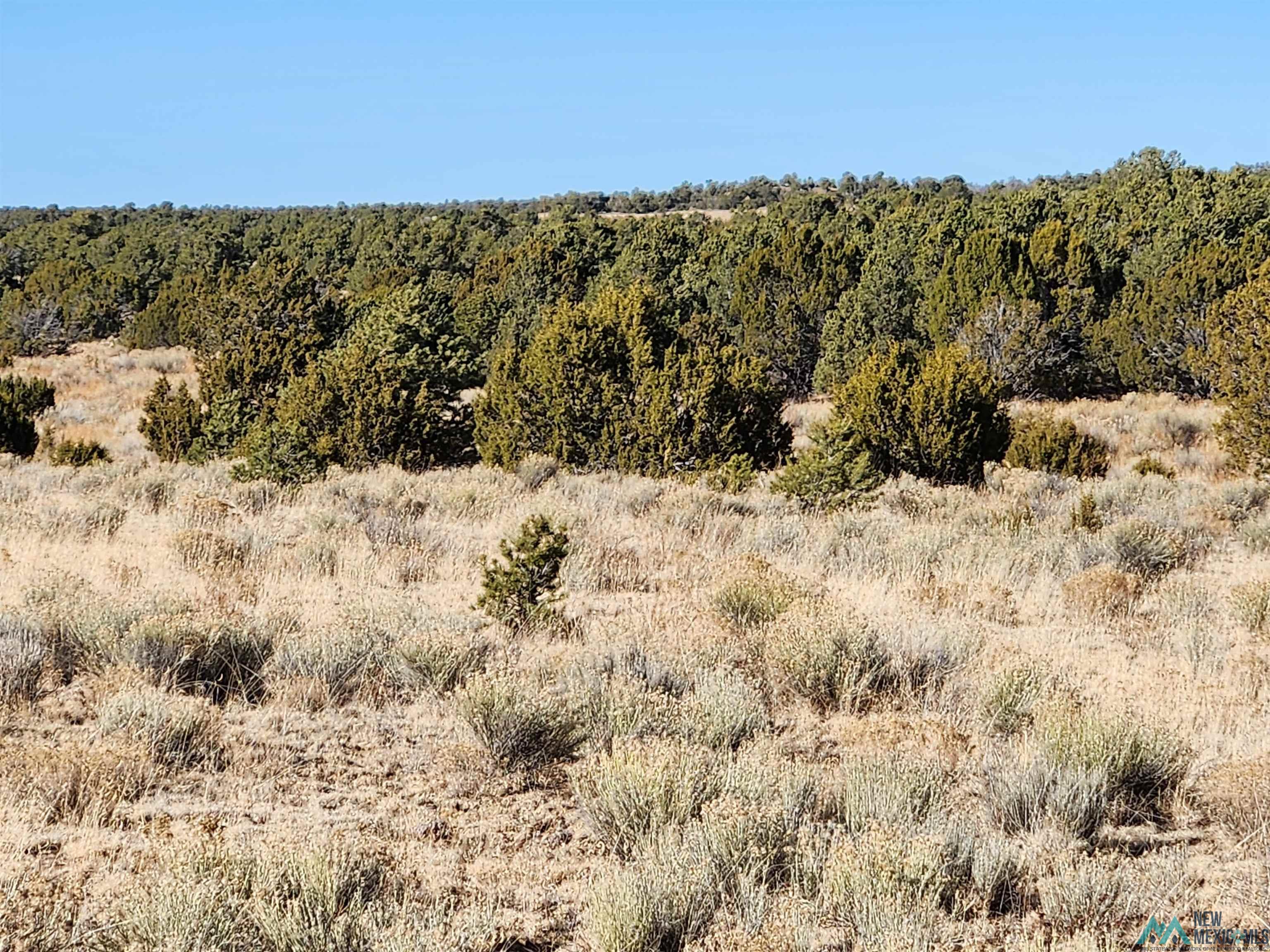  Ponderosa Ranches Trails PIE TOWN, NM Photo