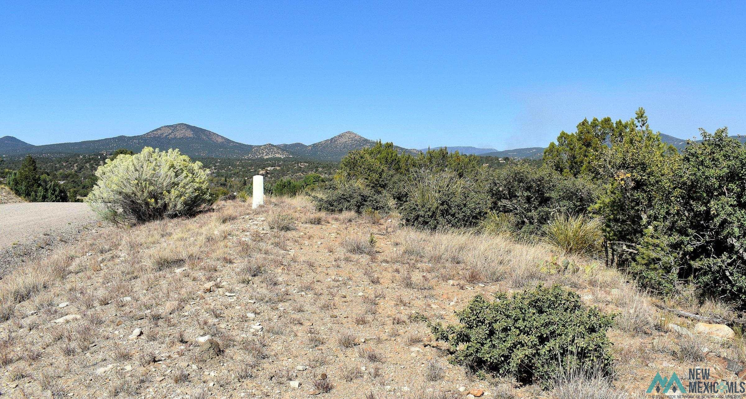 Lot 11 Hereford Silver City, NM Photo
