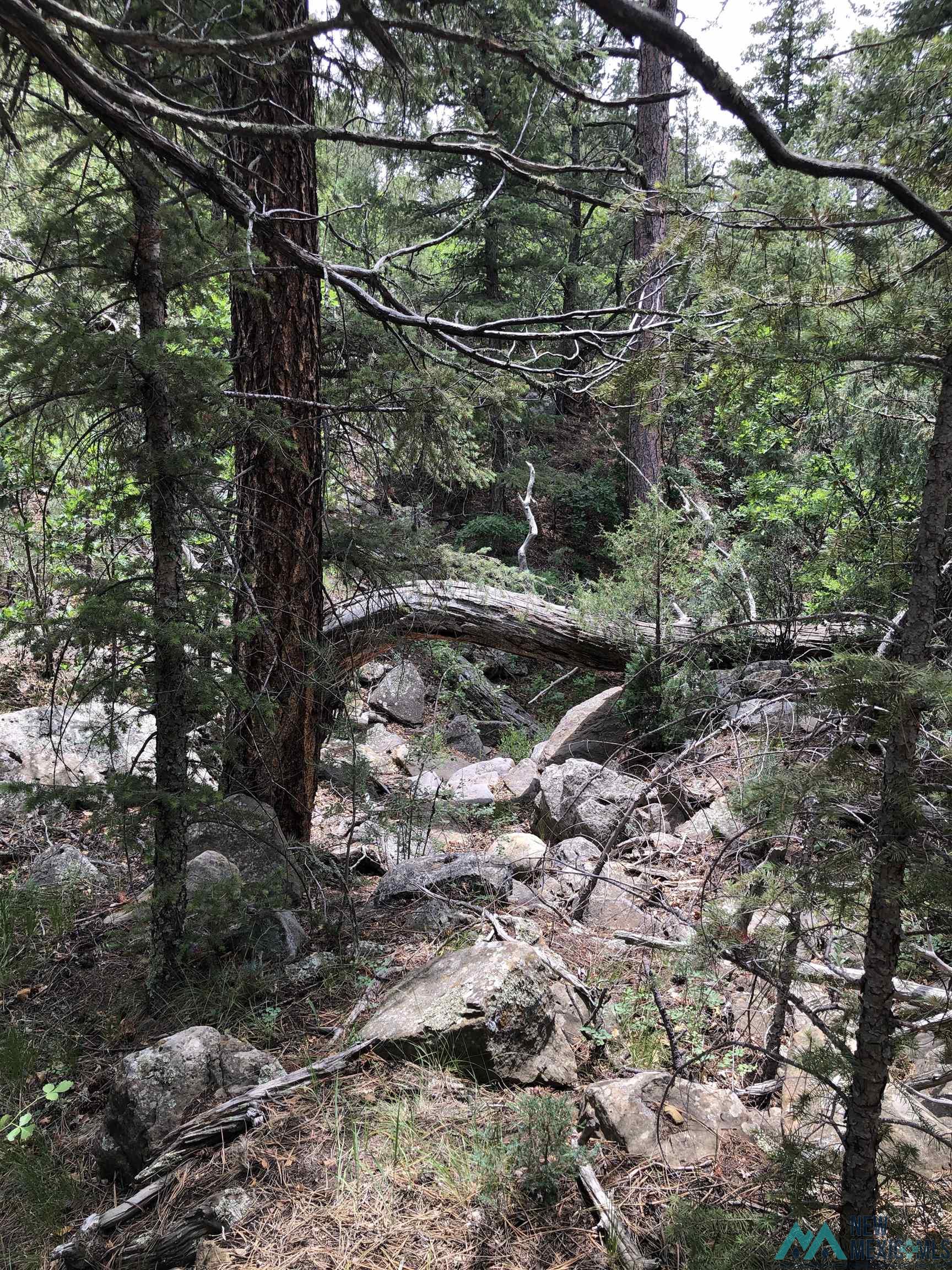 61 Trail Canyon Raton, NM Photo