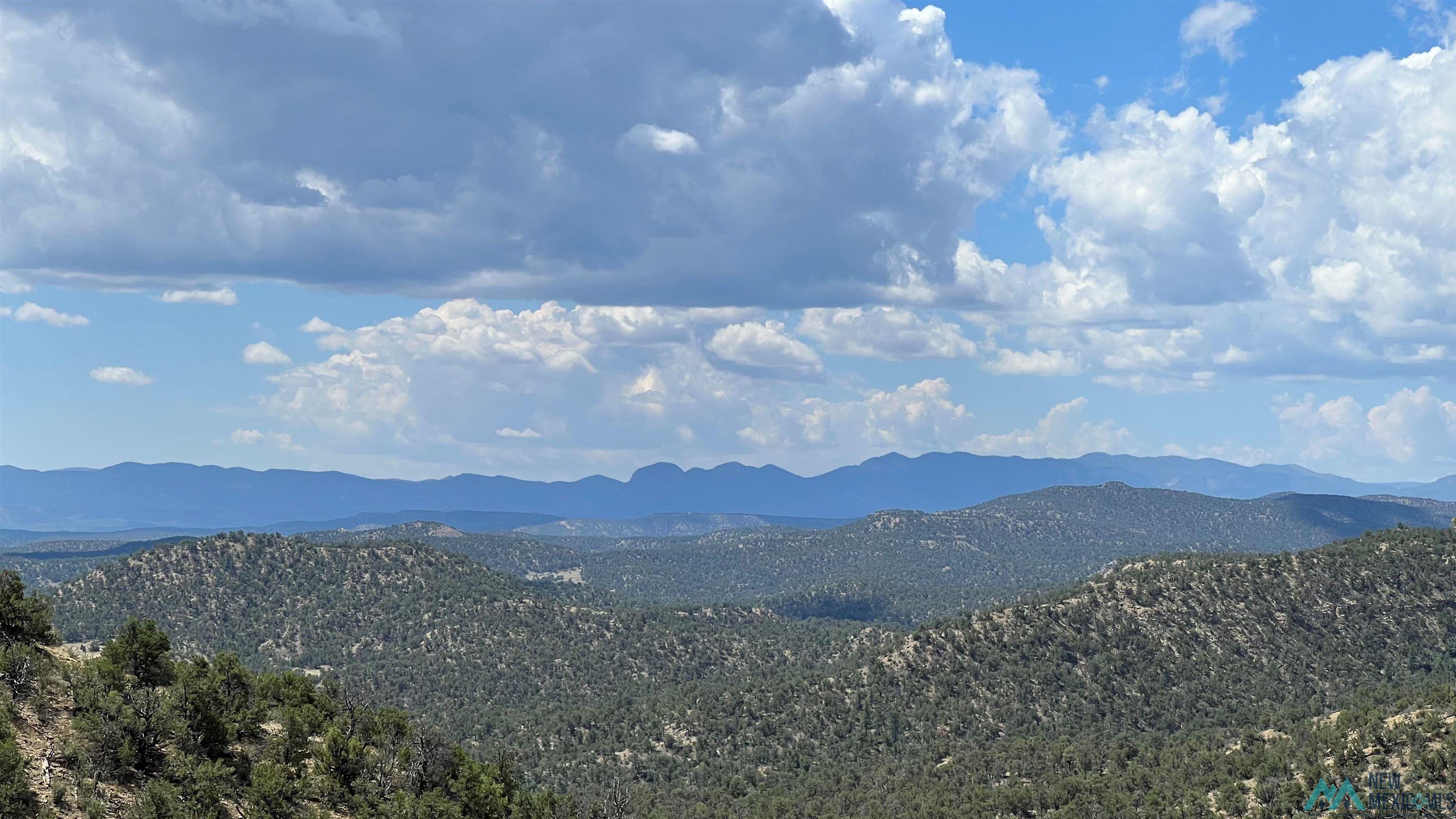 110 Lasso PIE TOWN, NM Photo