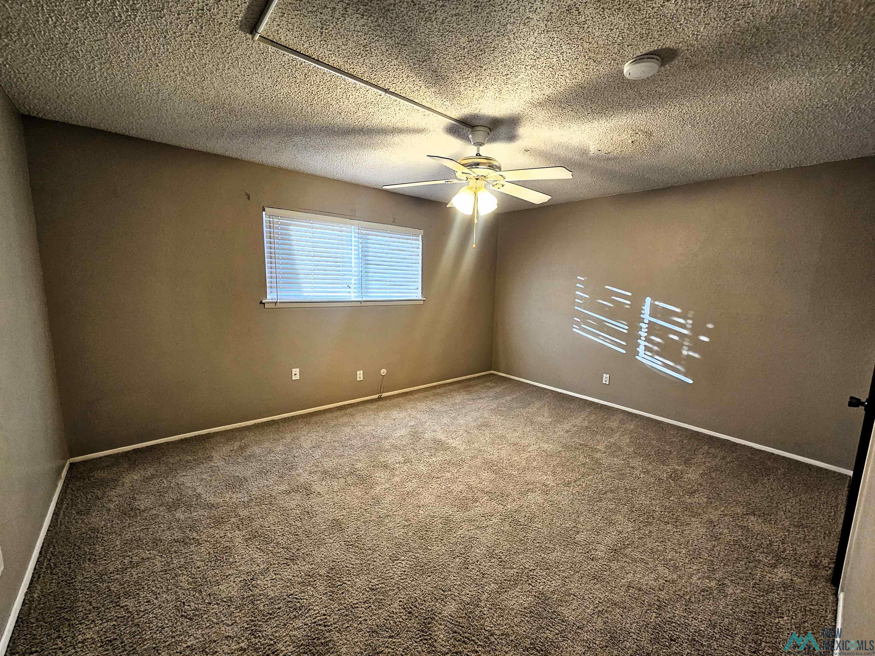 picture-gallery
