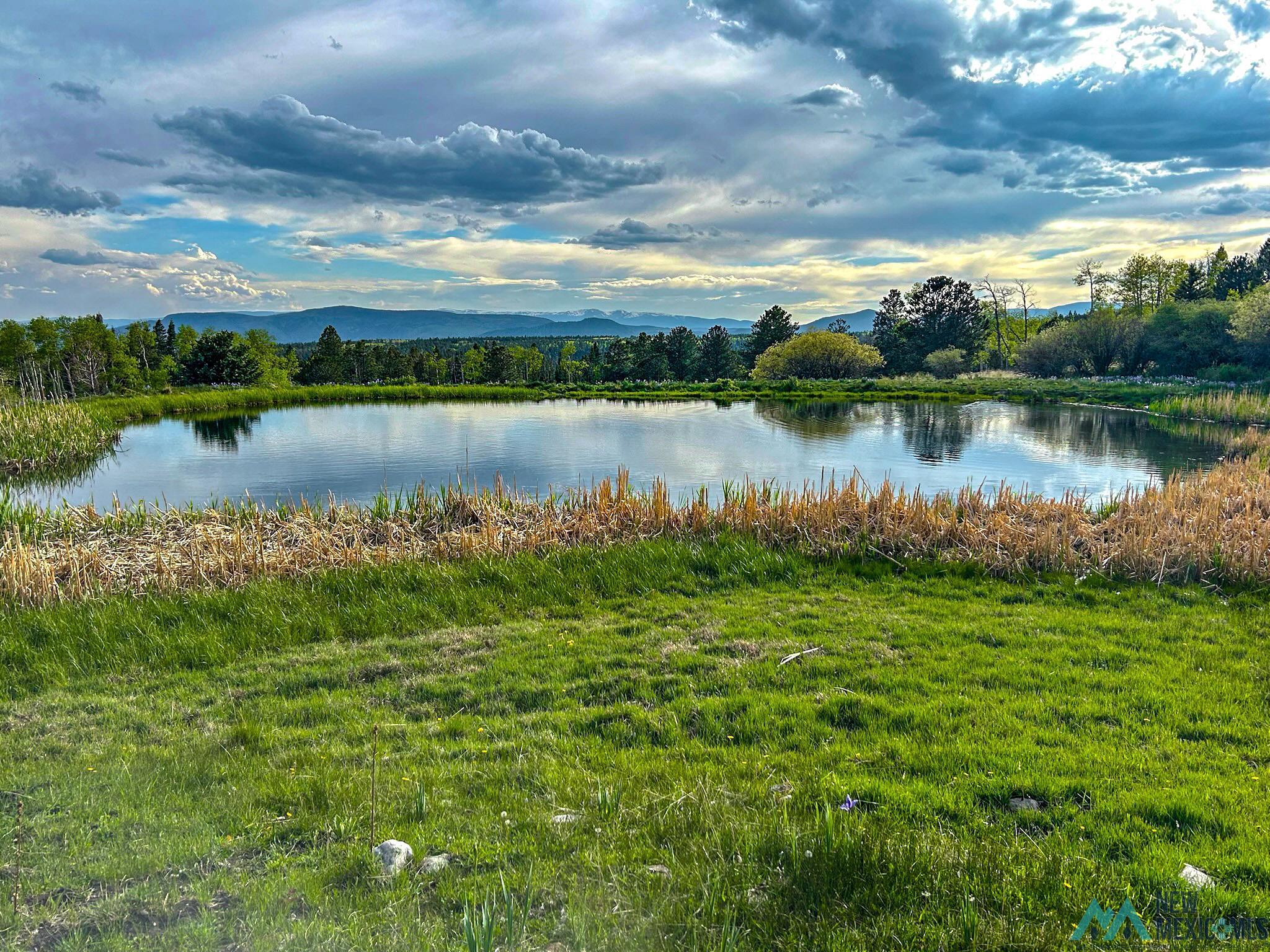 listing main picture