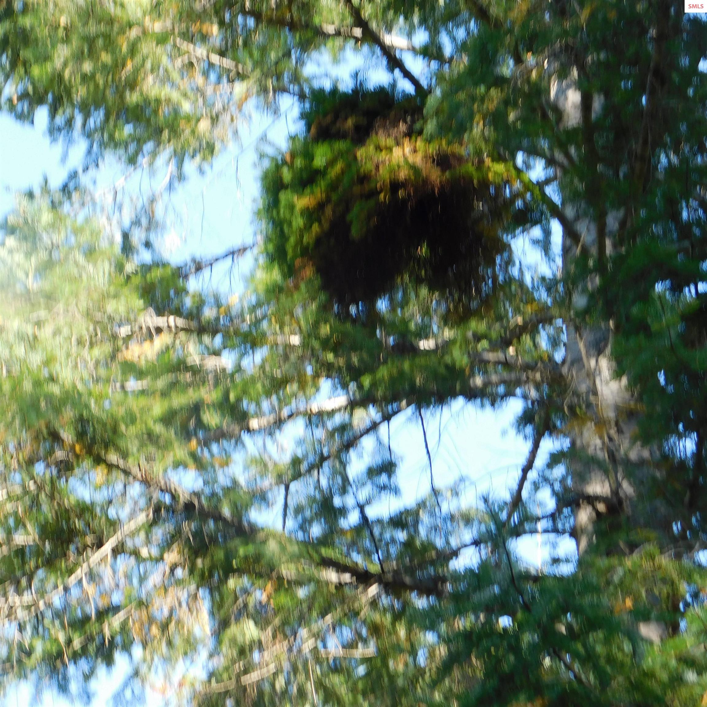 Land for sale in Priest River, Idaho, 20231641