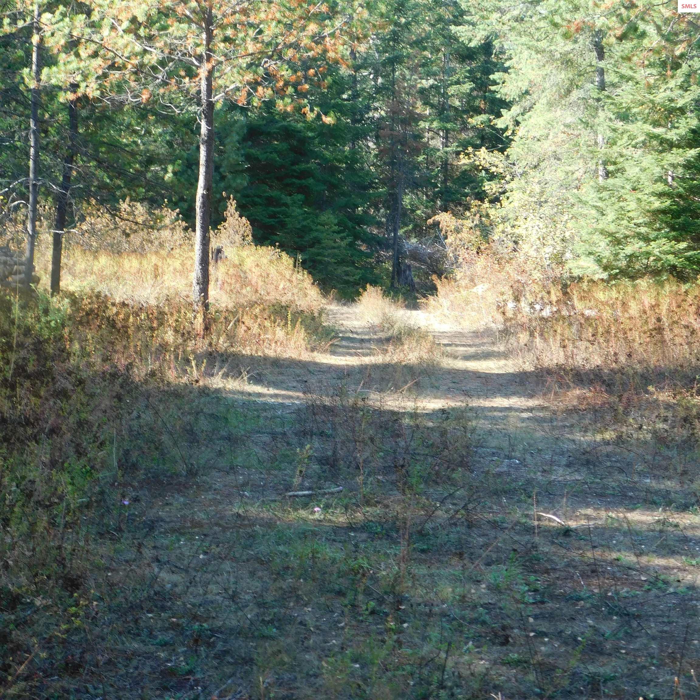 Land for sale in Priest River, Idaho, 20231641