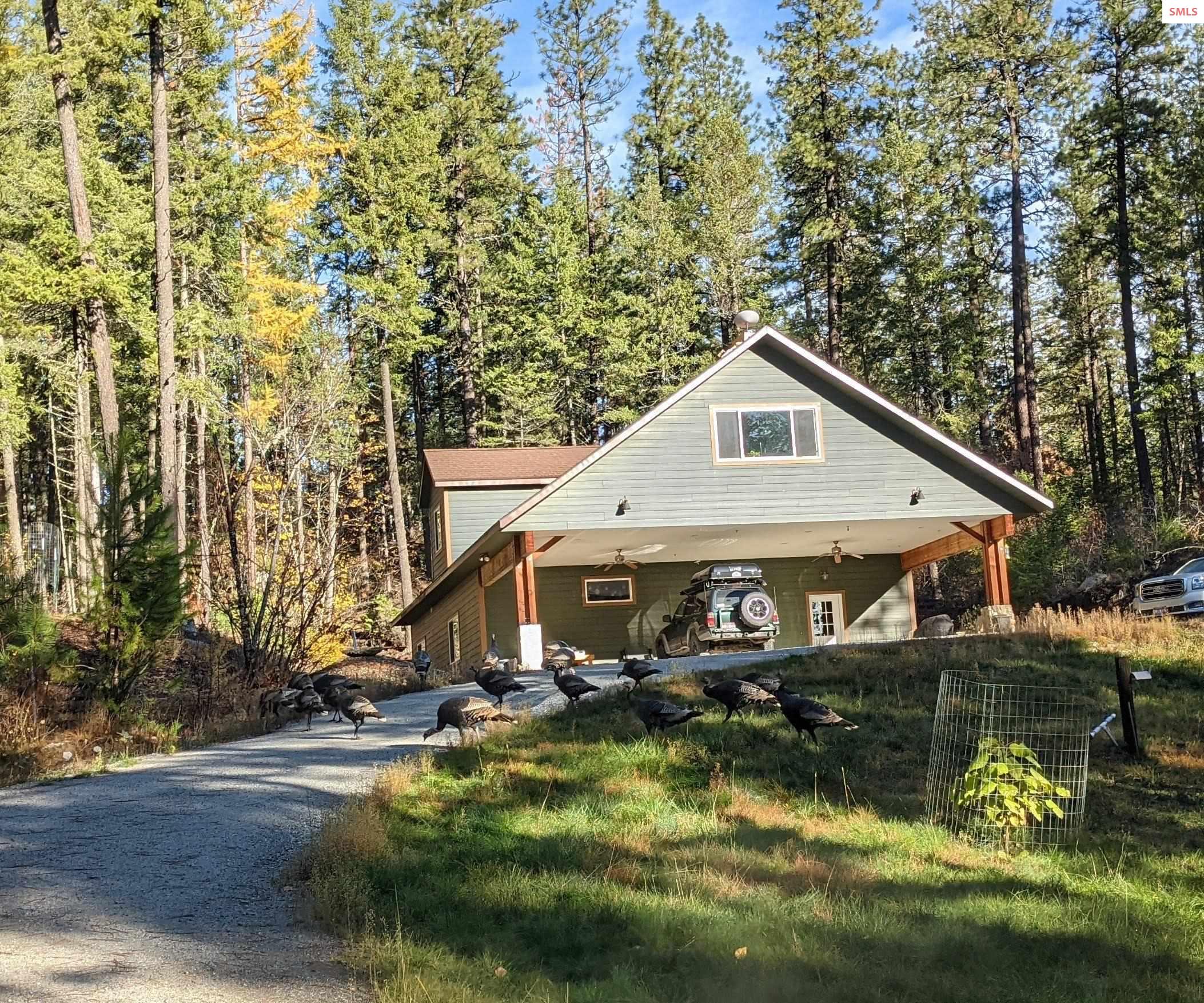 158 Forest Knolls Drive, Sandpoint, ID 