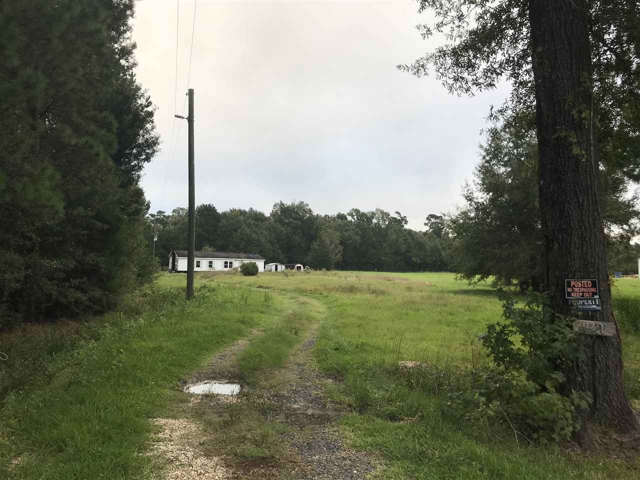 Little Cypress Mauriceville