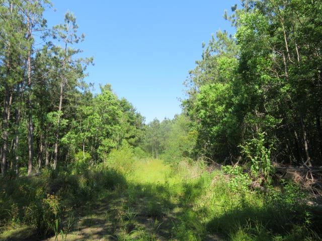 Photo for MLS Id 229558 located at 0000 County Road 802