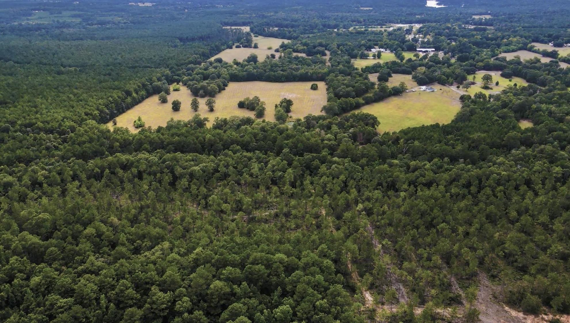 Photo for MLS Id 231222 located at P CR 4453