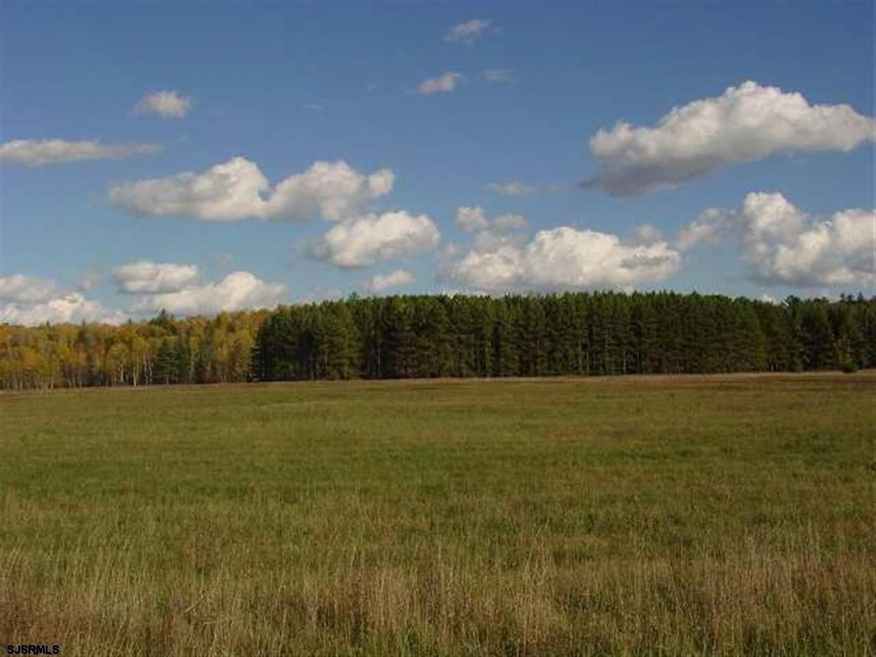 533873
