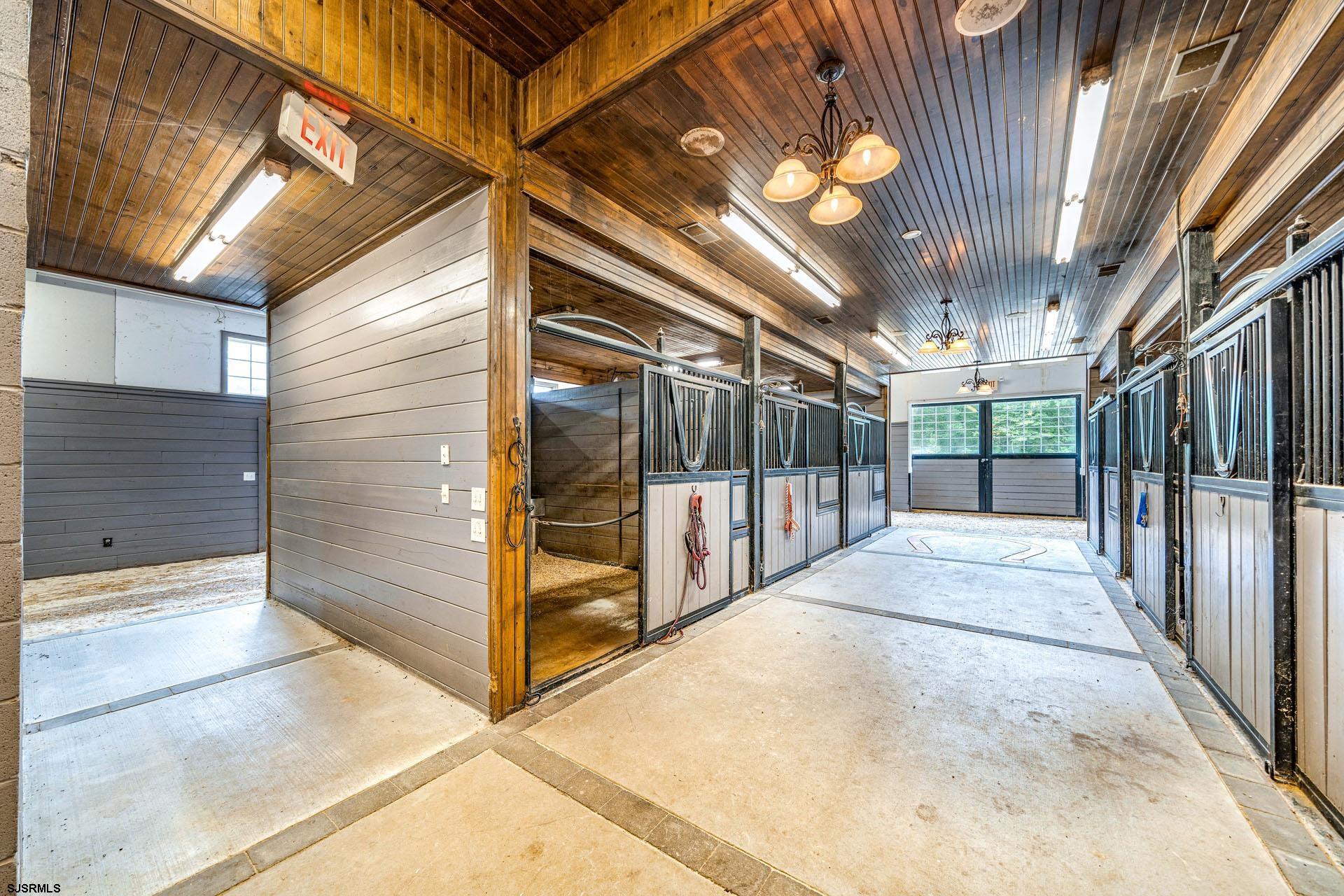 picture-gallery