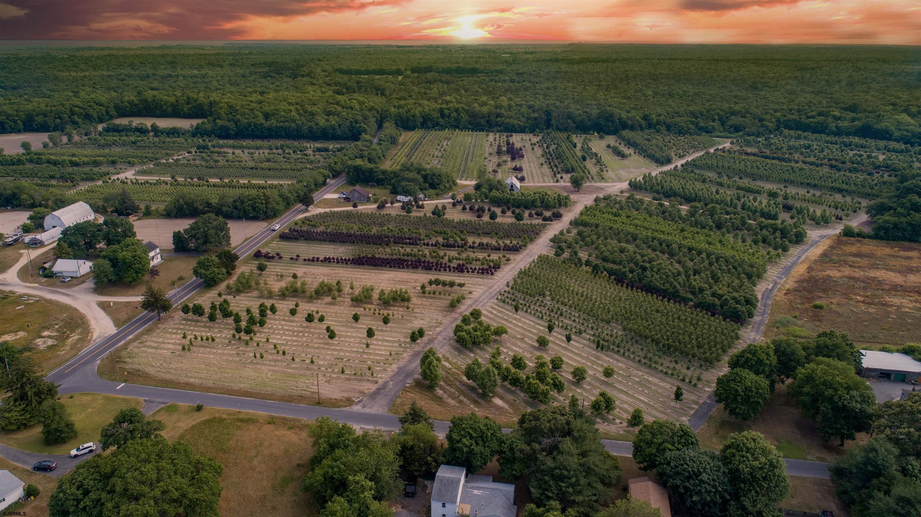 Welcome to your dream sanctuary! Nestled in Dennis Township, this immaculate 78-acre property awaits, offering endless possibilities for your vision to flourish. Whether you dream of owning a winery, establishing a farm, or cultivating a tree/flower business, this land is ready to support your aspirations. The property features a charming three-bedroom, two-bath home that has been recently updated to meet modern standards. Highlights include a new well and septic system, a spacious full unfinished basement, and a walk-up attic offering potential for additional bedrooms or versatile living spaces. Imagine the tranquility of waking up surrounded by lush landscapes and the freedom to design your ideal lifestyle. Property also has a barn on the property. Don’t miss out on this incredible opportunity to turn your dreams into reality. Embrace the chance to create your sanctuary in South Jersey today!