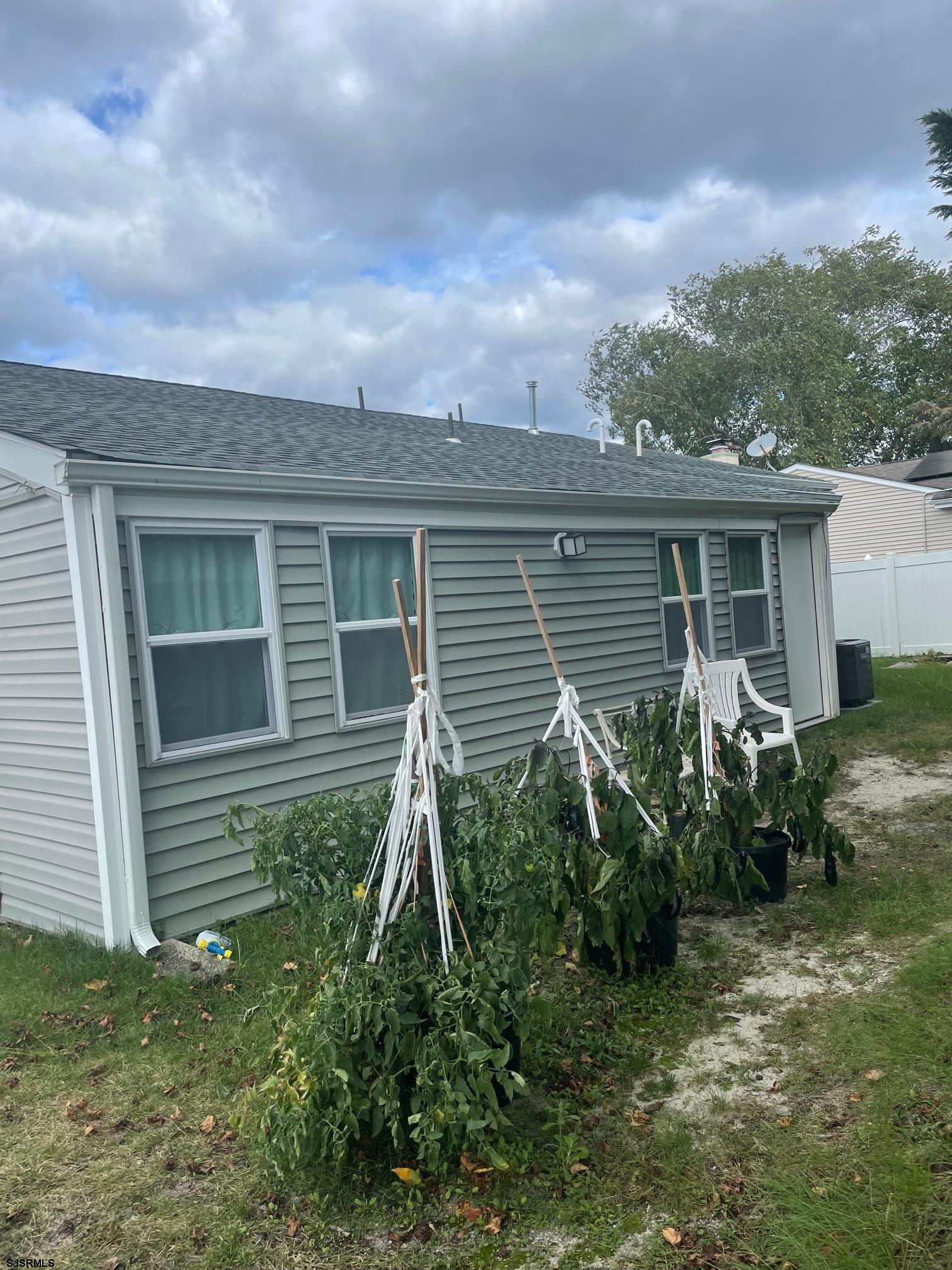 image19