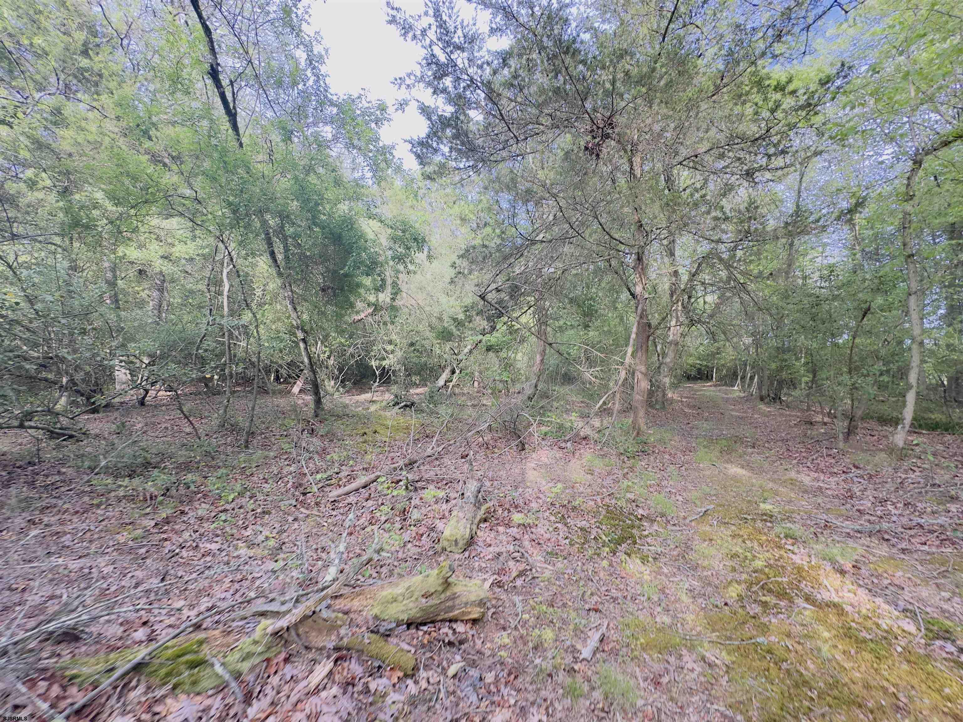 image 13
