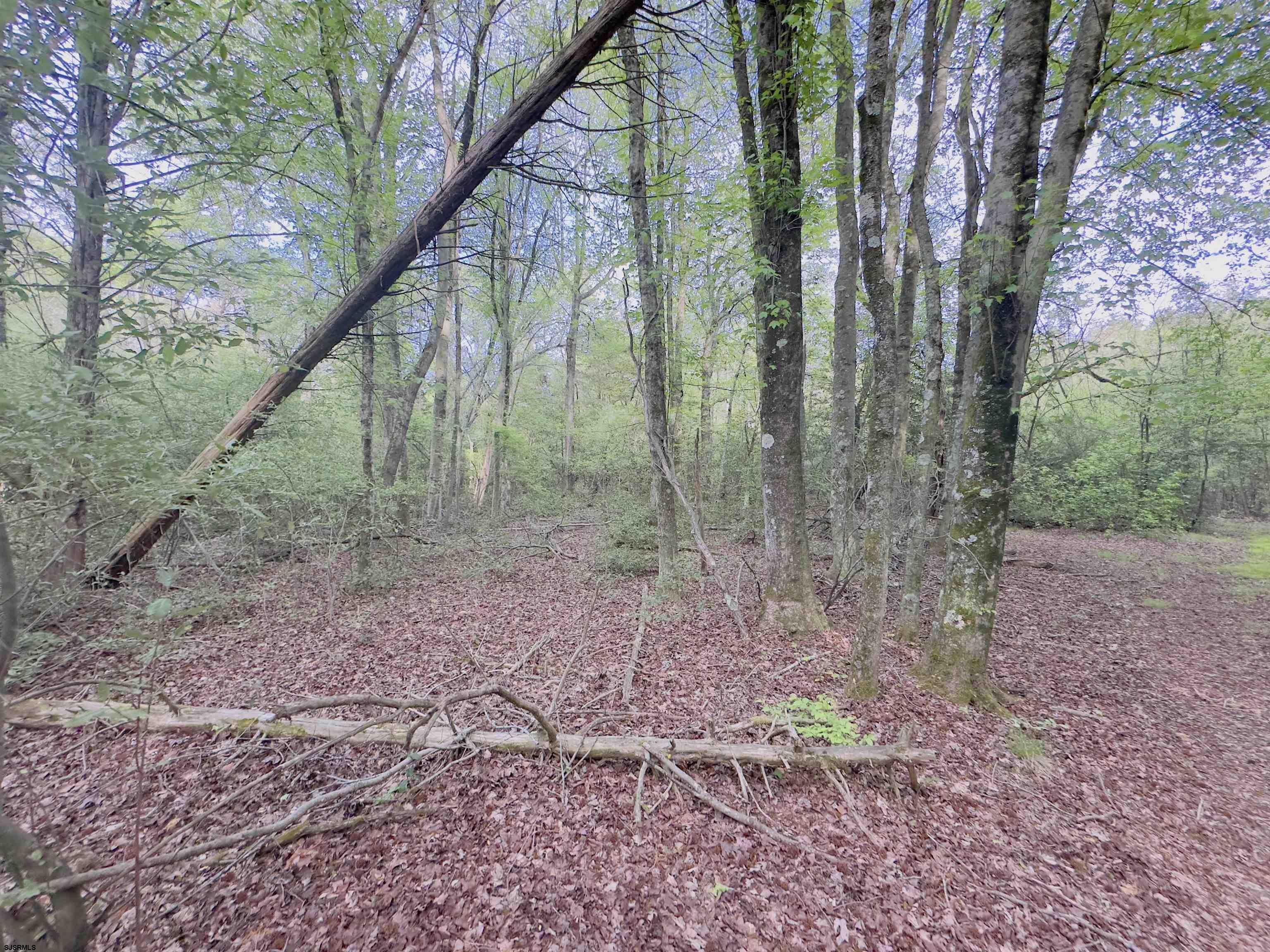 image 9