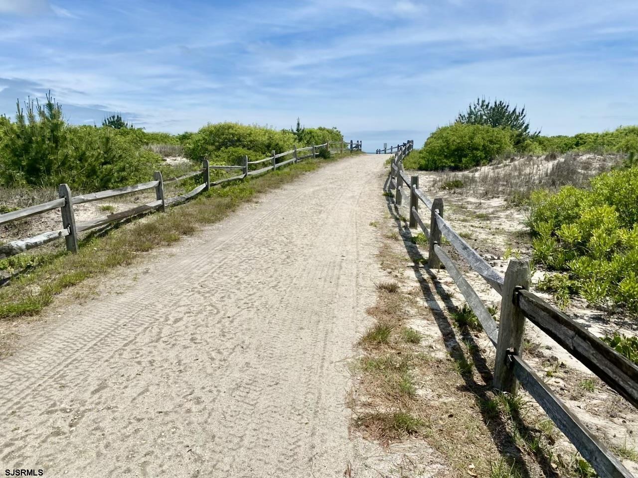 pic2