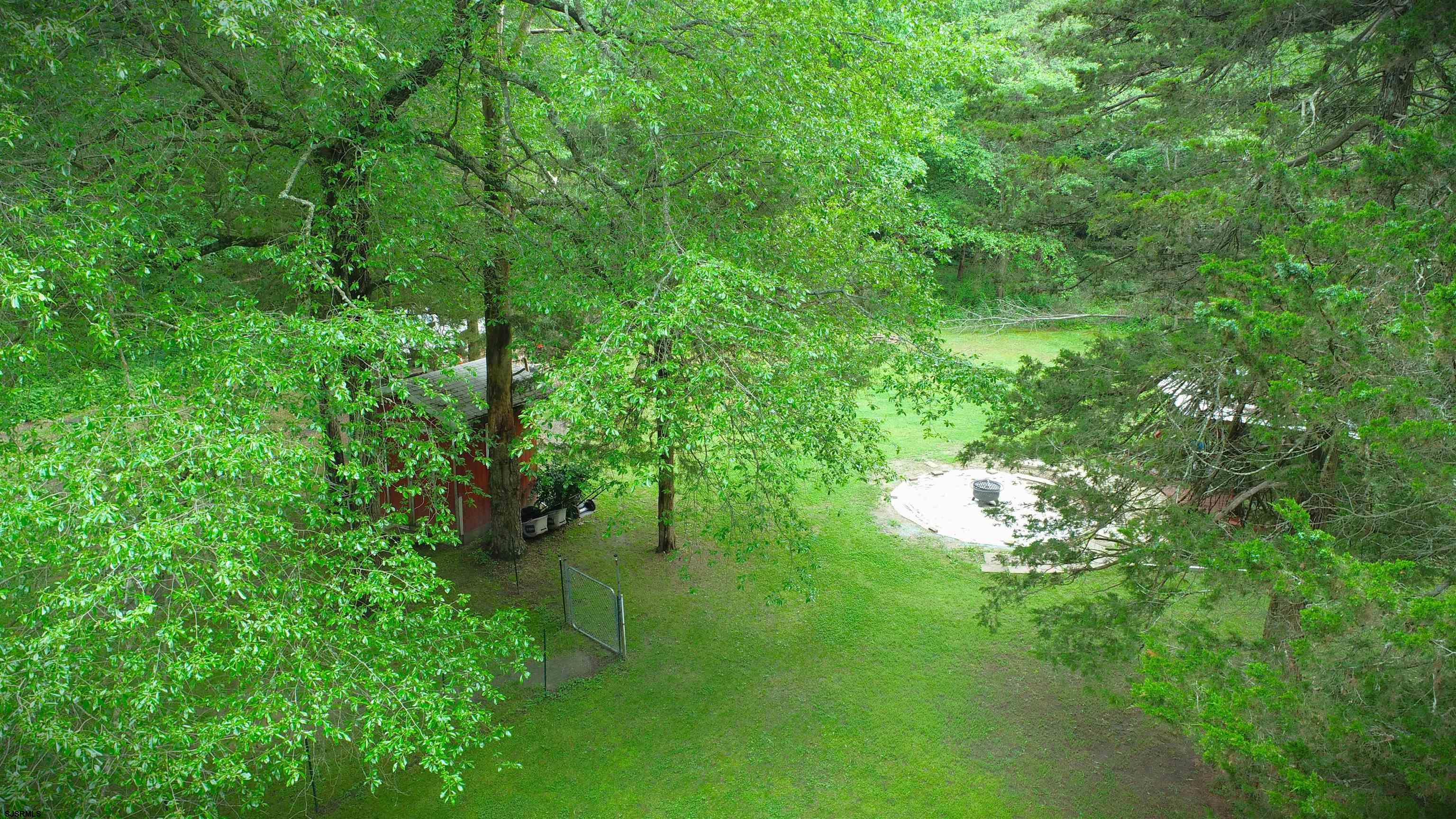 image 81