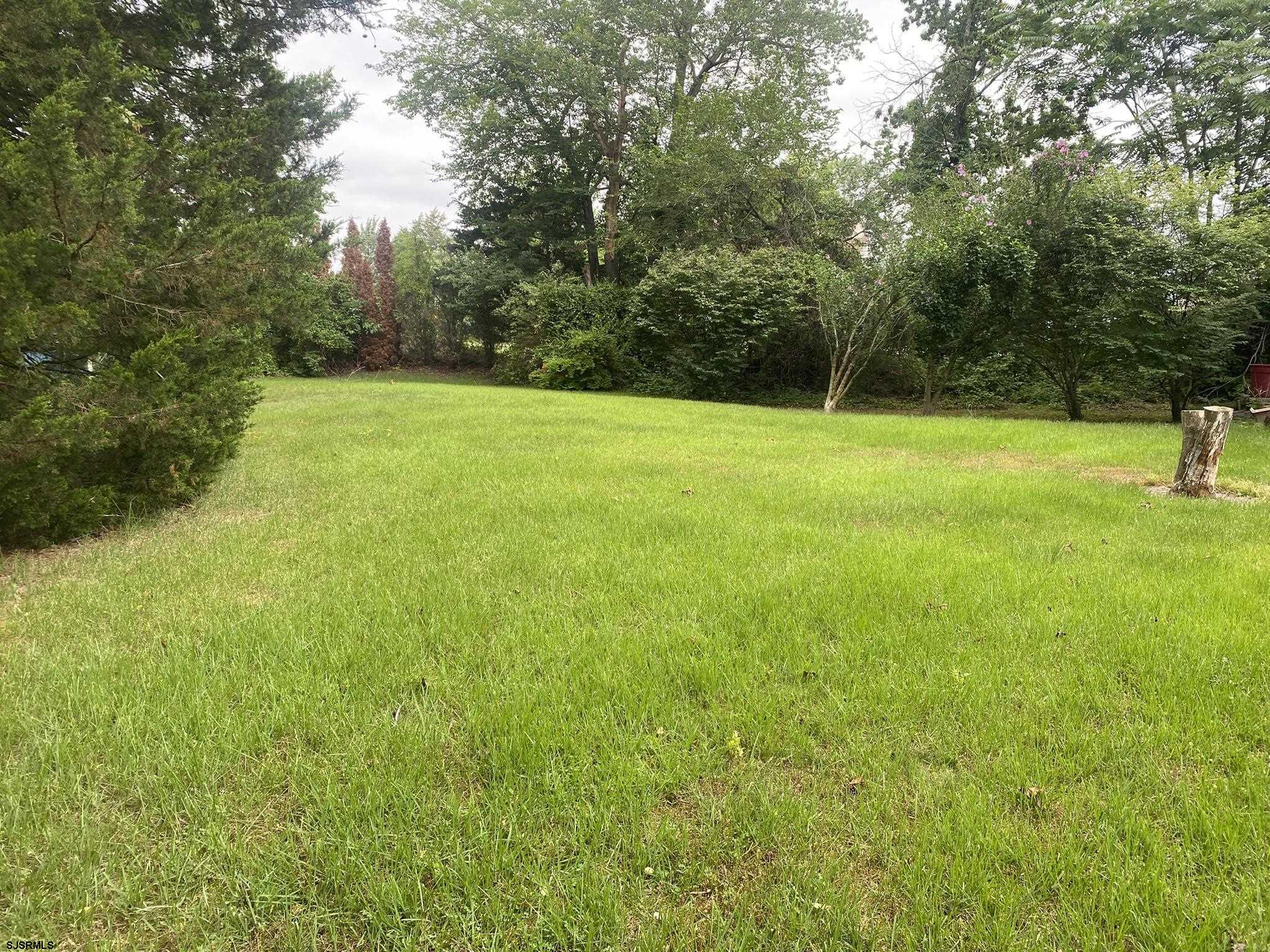 image12