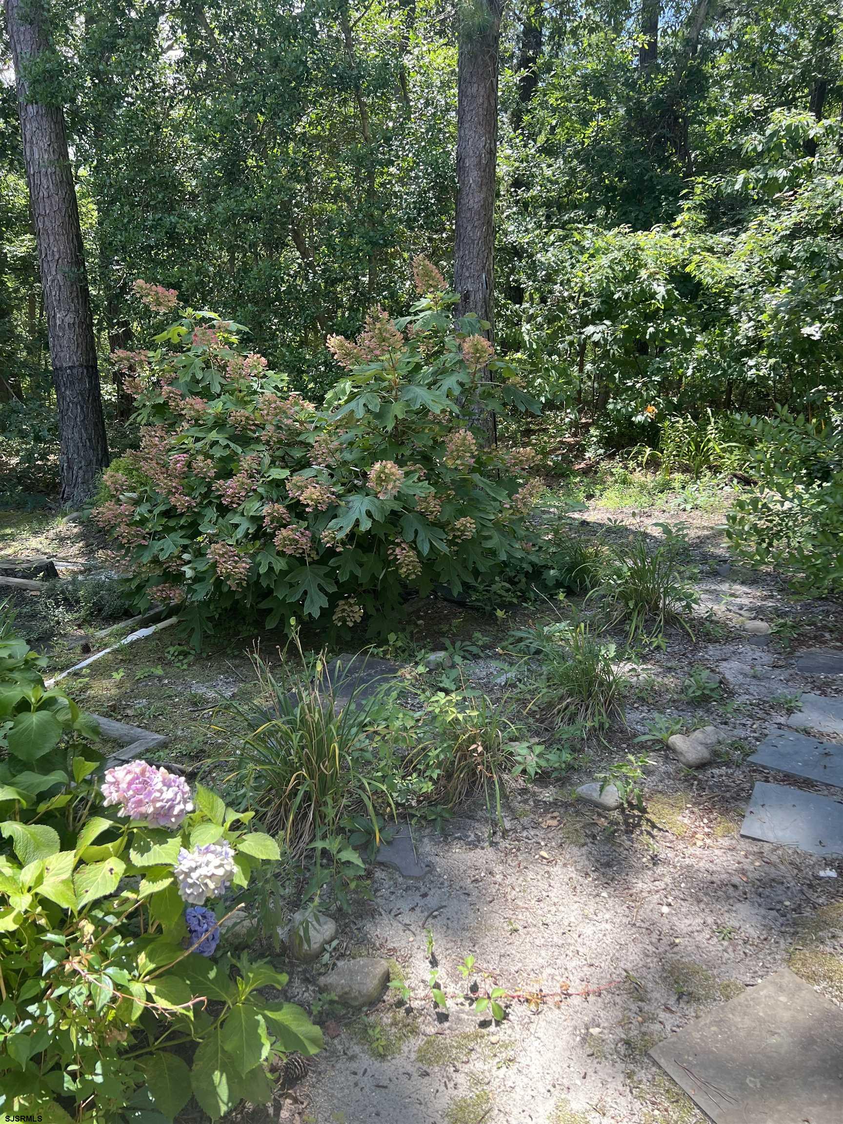 image16
