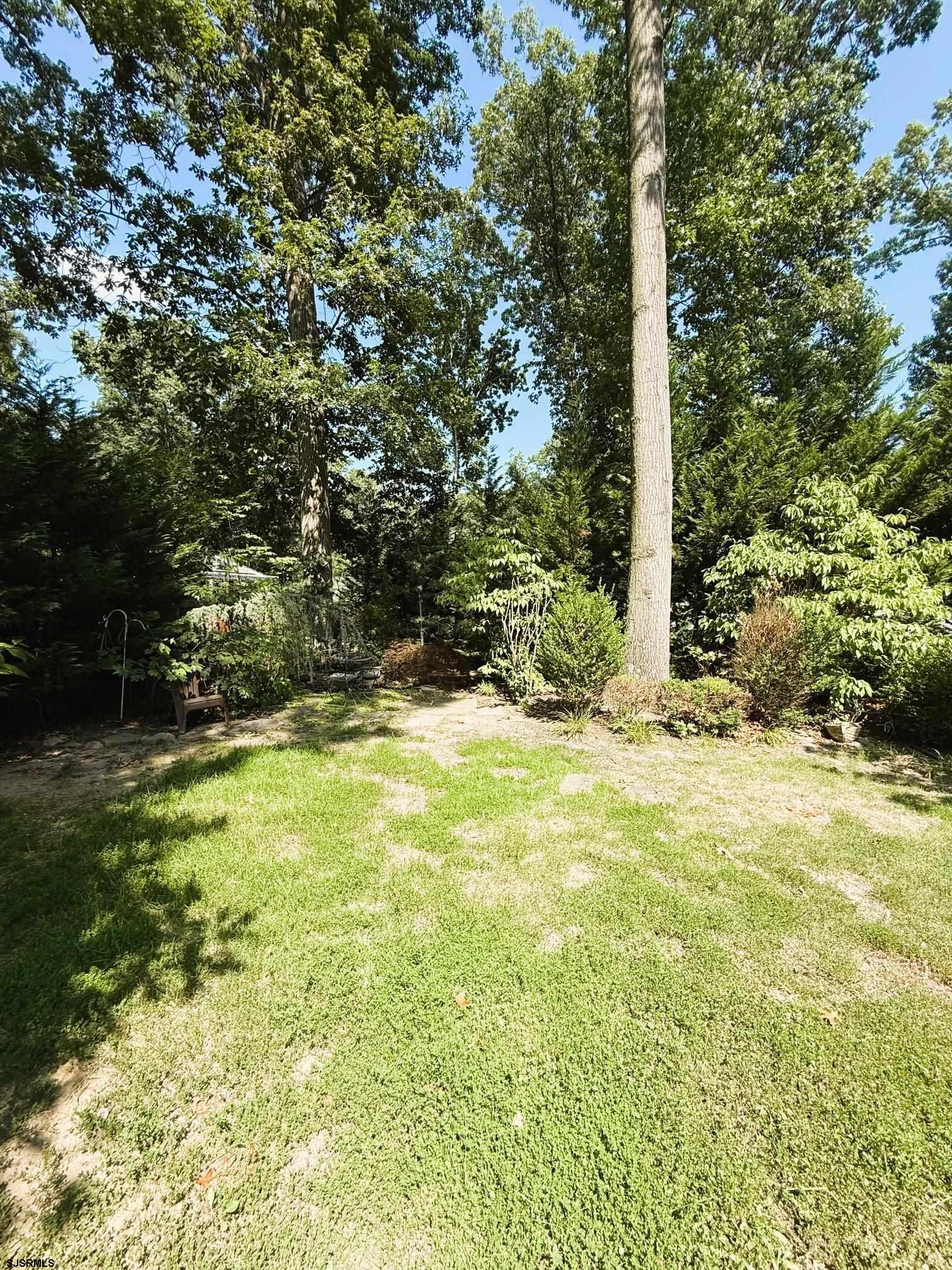image7