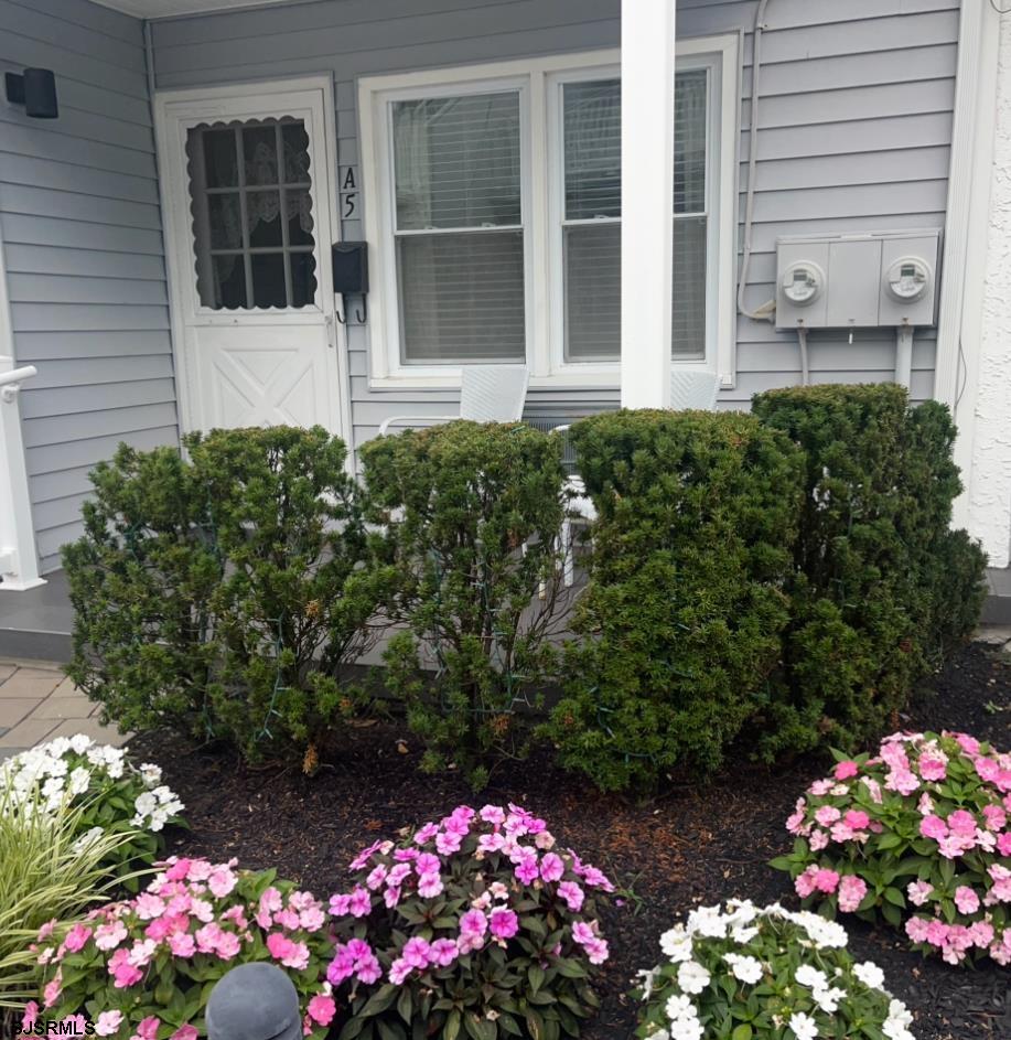  16 W 11th Street - Ocean City