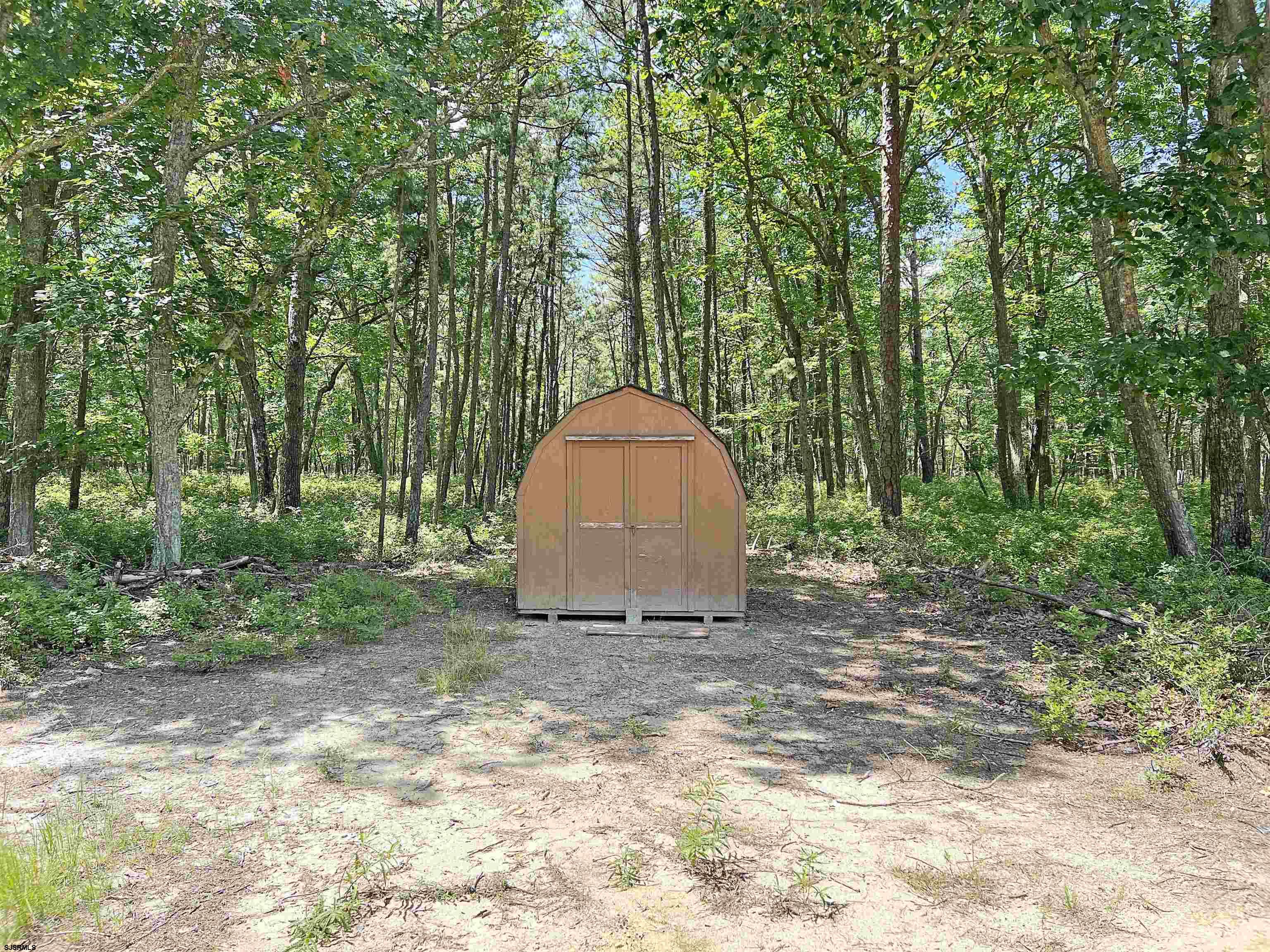 image 8