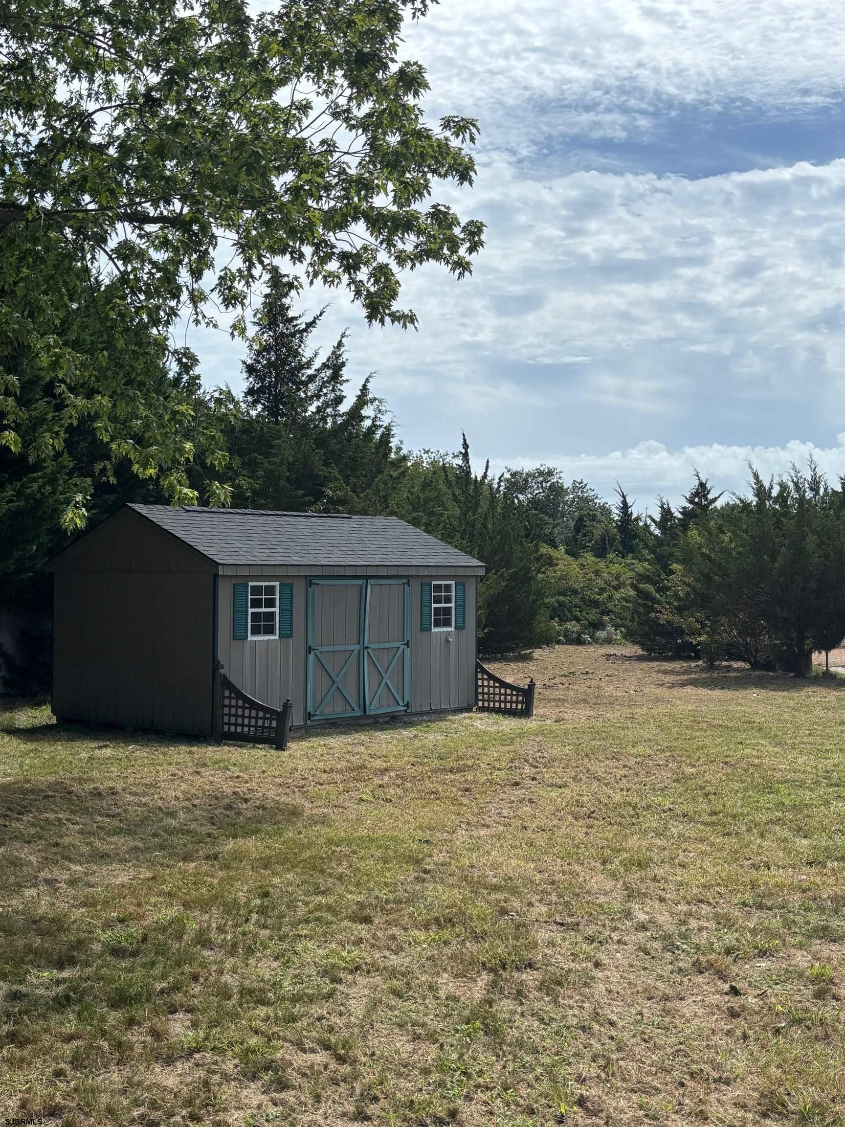 image 31