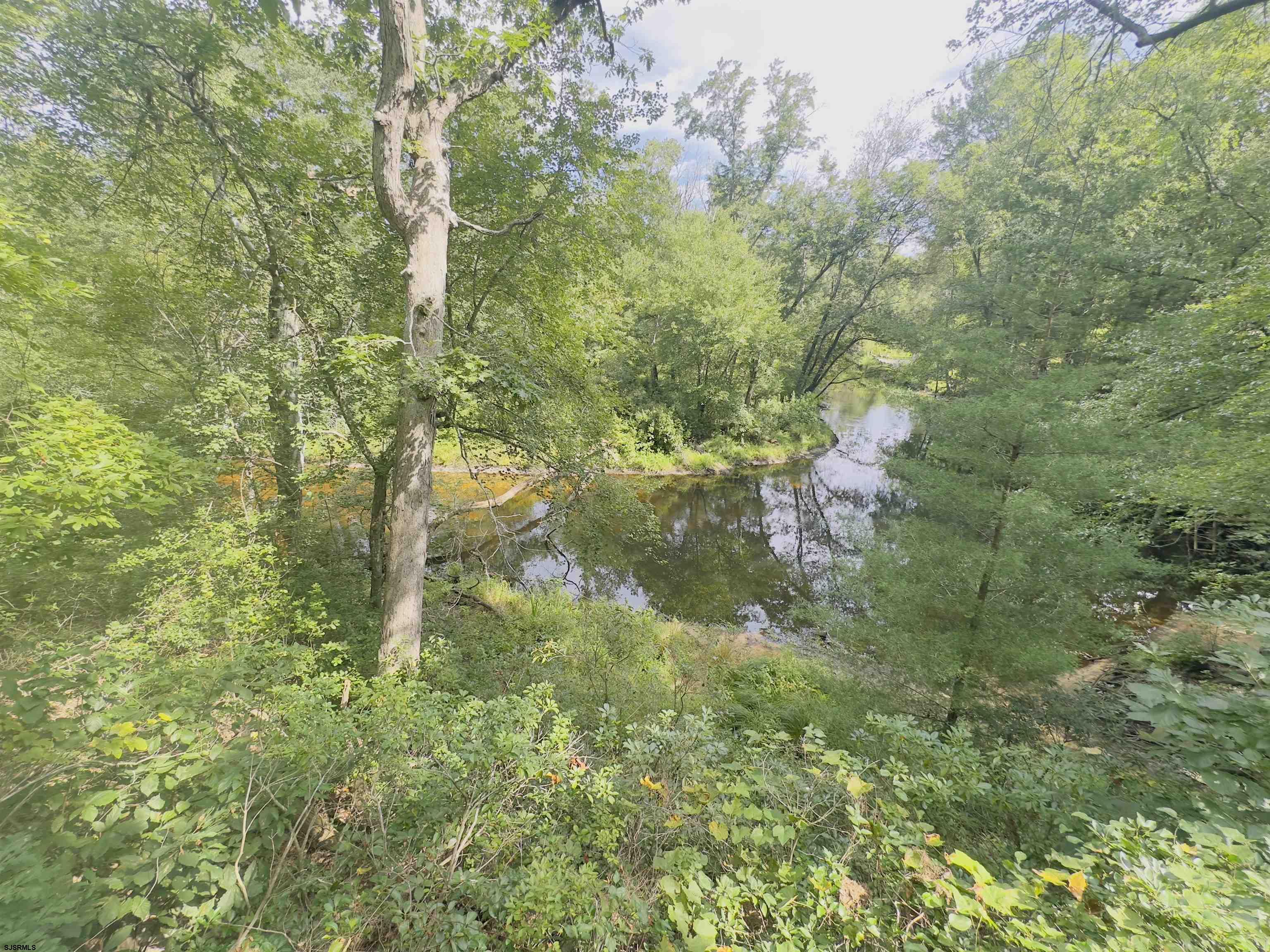 image 88