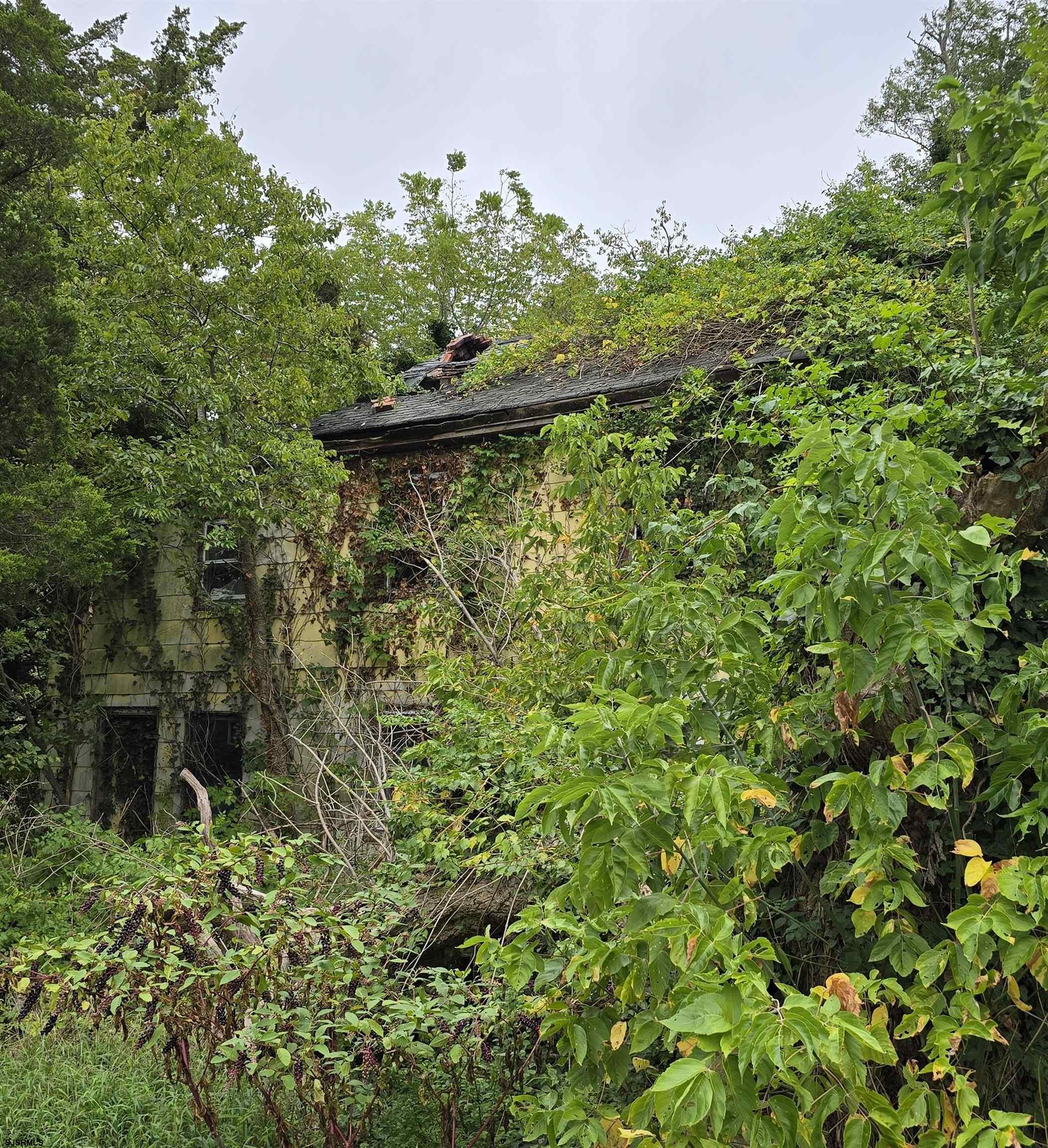  - Picture 6